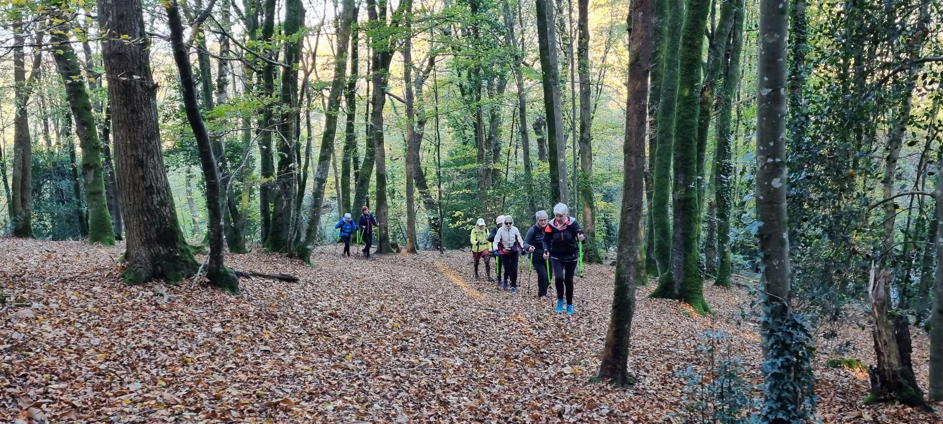 32-20211123_102322(0)