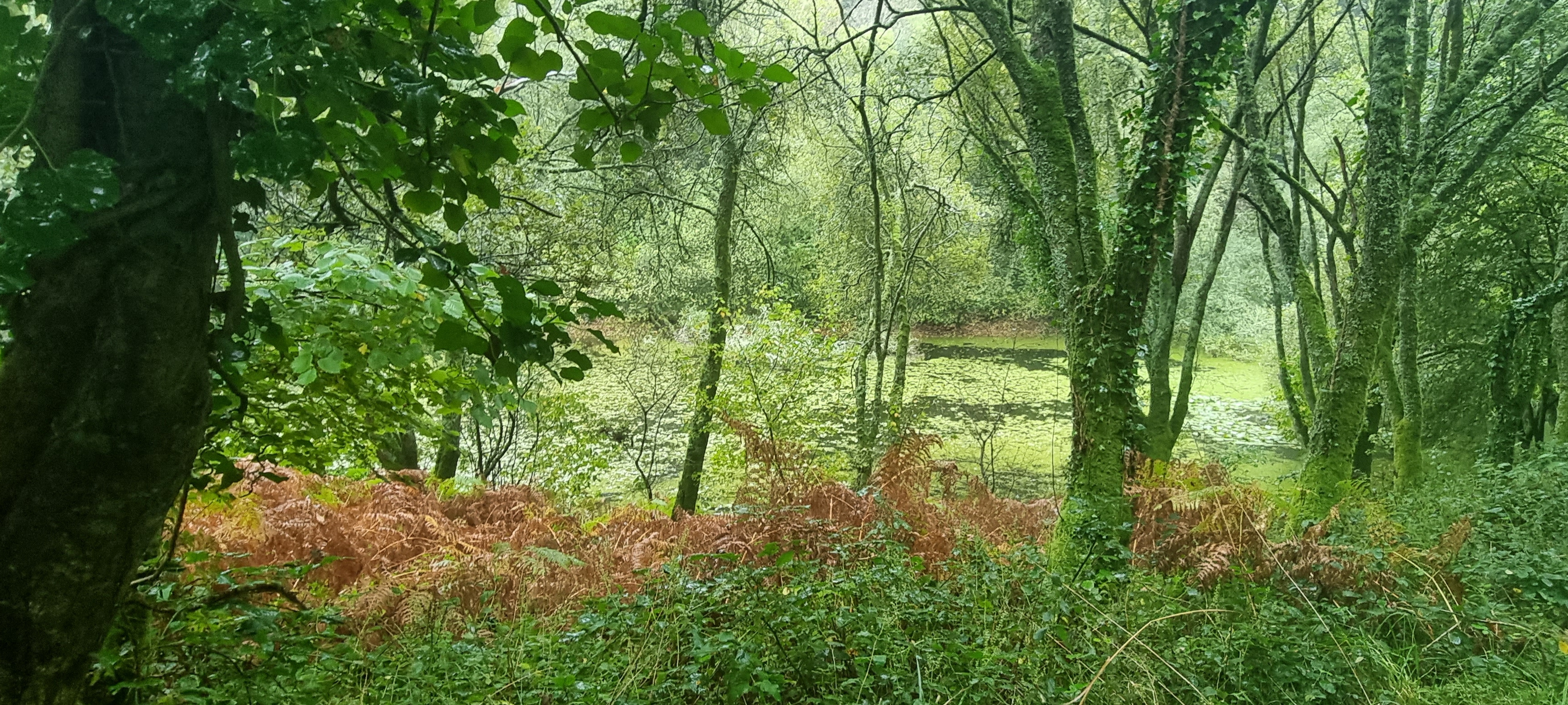 16-20211018_112004(0)