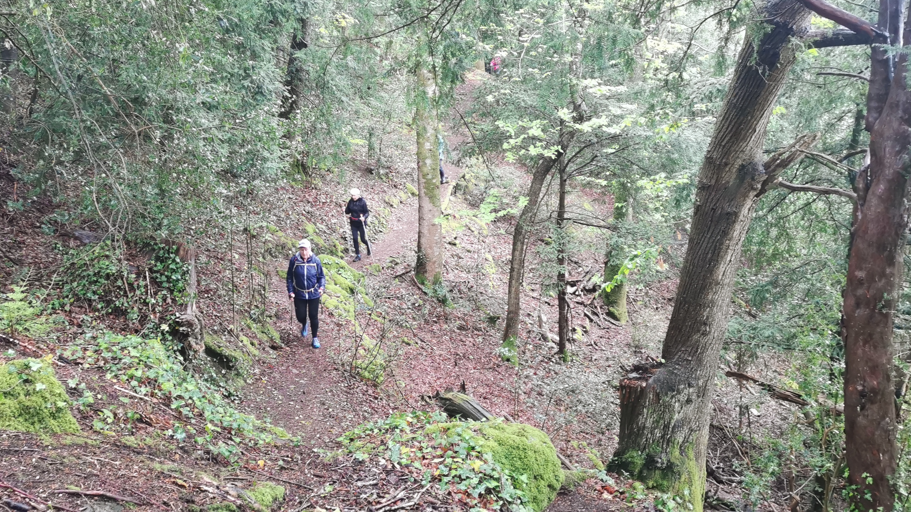 012-IMG_20210513_094547_1