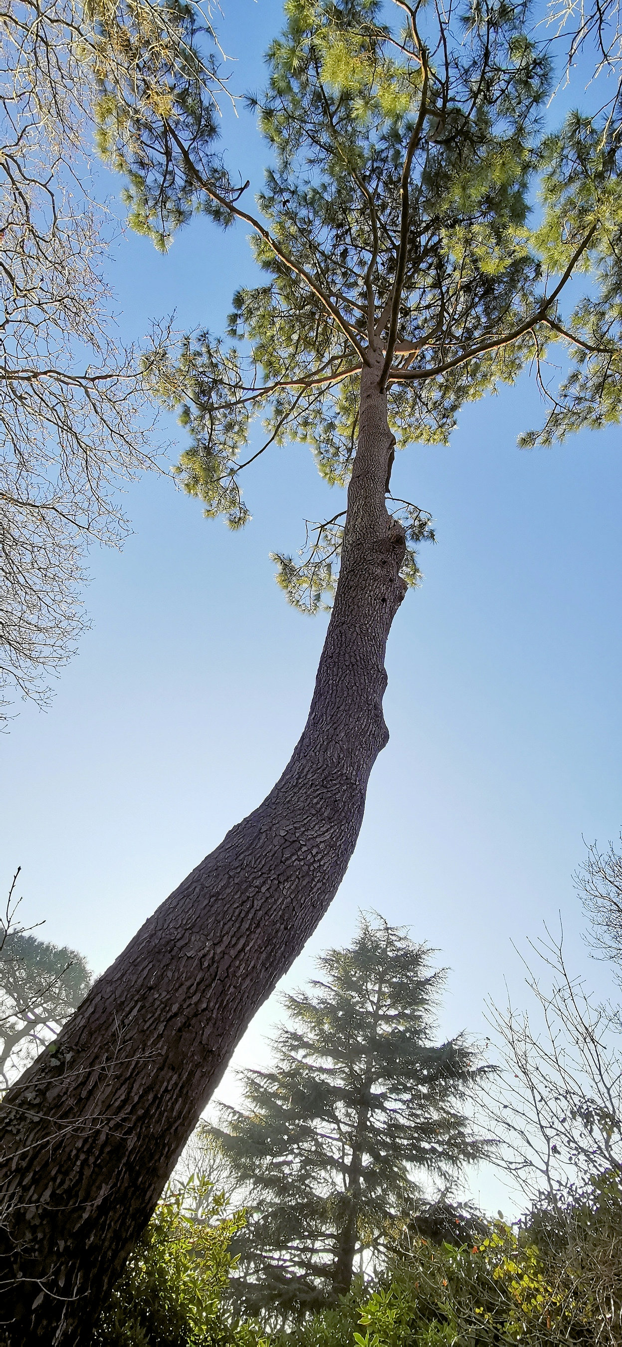 49-IMG_20210109_111204