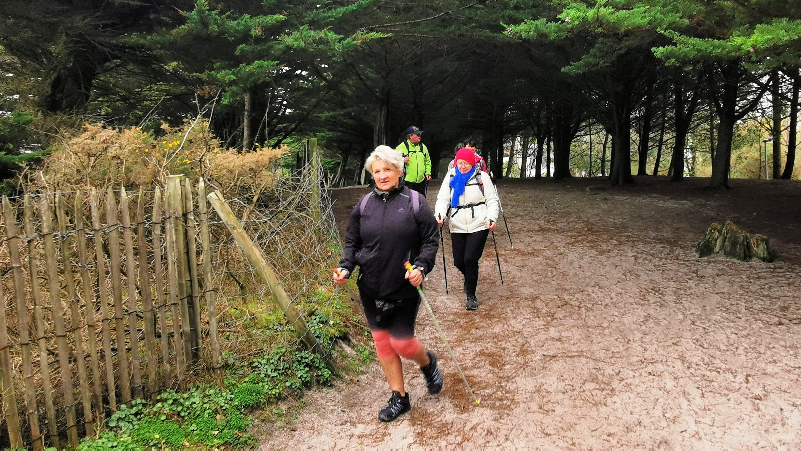 13-IMG_20210208_104707