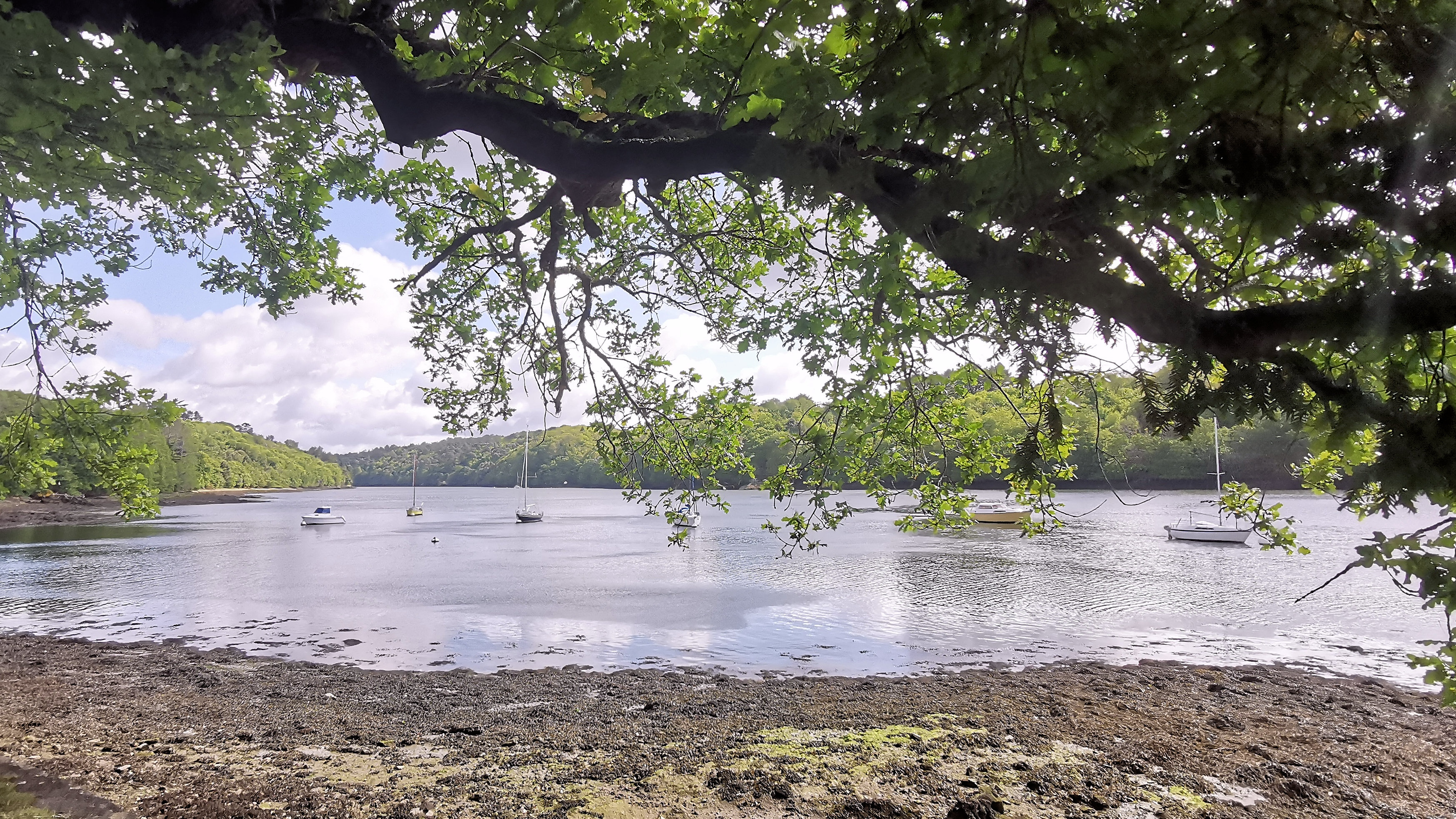 13-IMG_20210522_104735_1