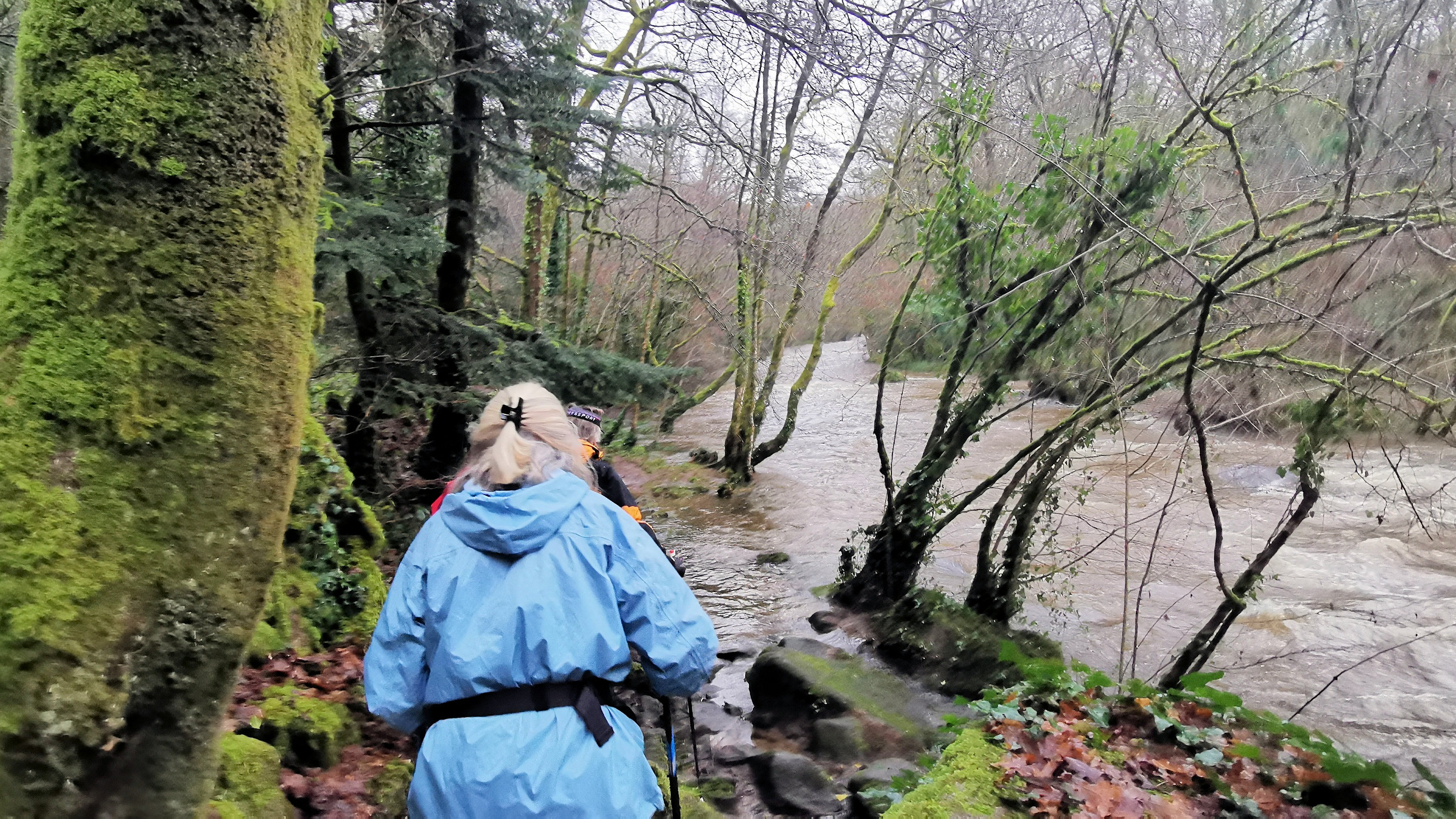 10-IMG_20210121_100037