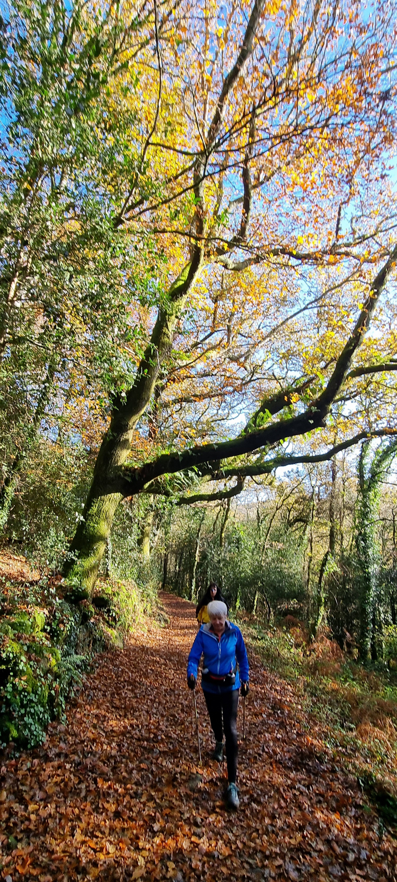 89-20211202_113406(0)