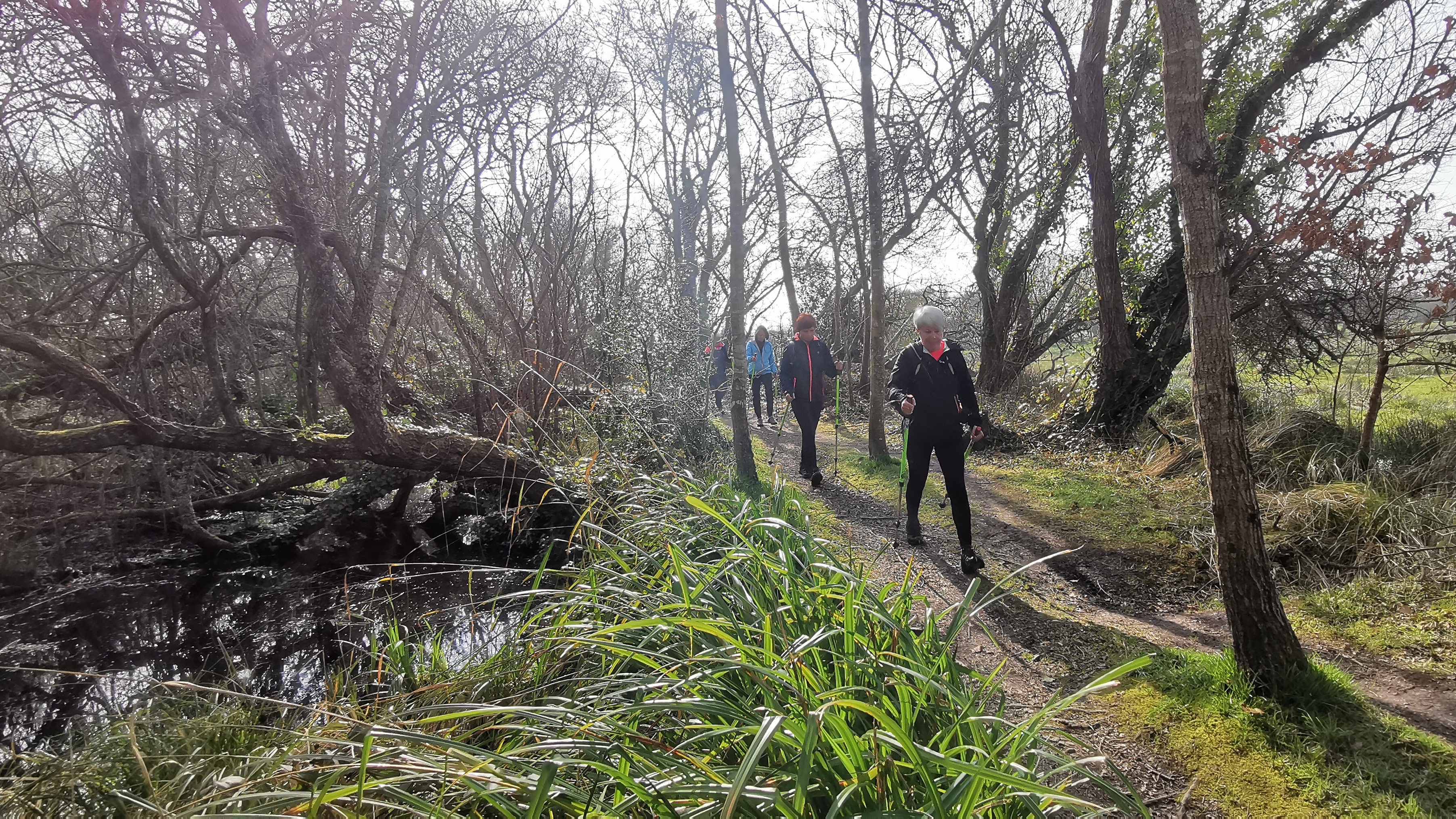 37-IMG_20210309_111200