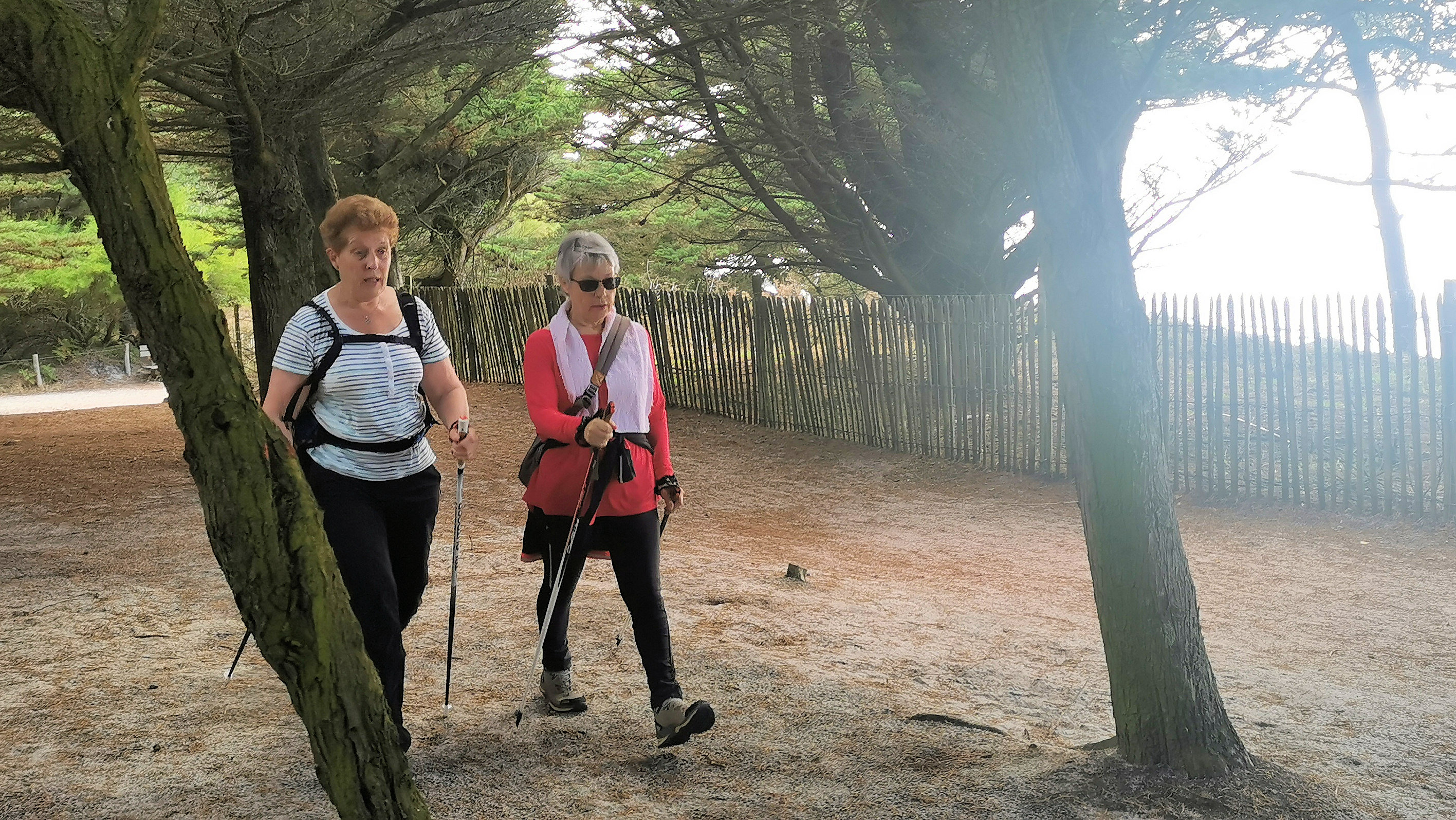 25-IMG_20210726_110319