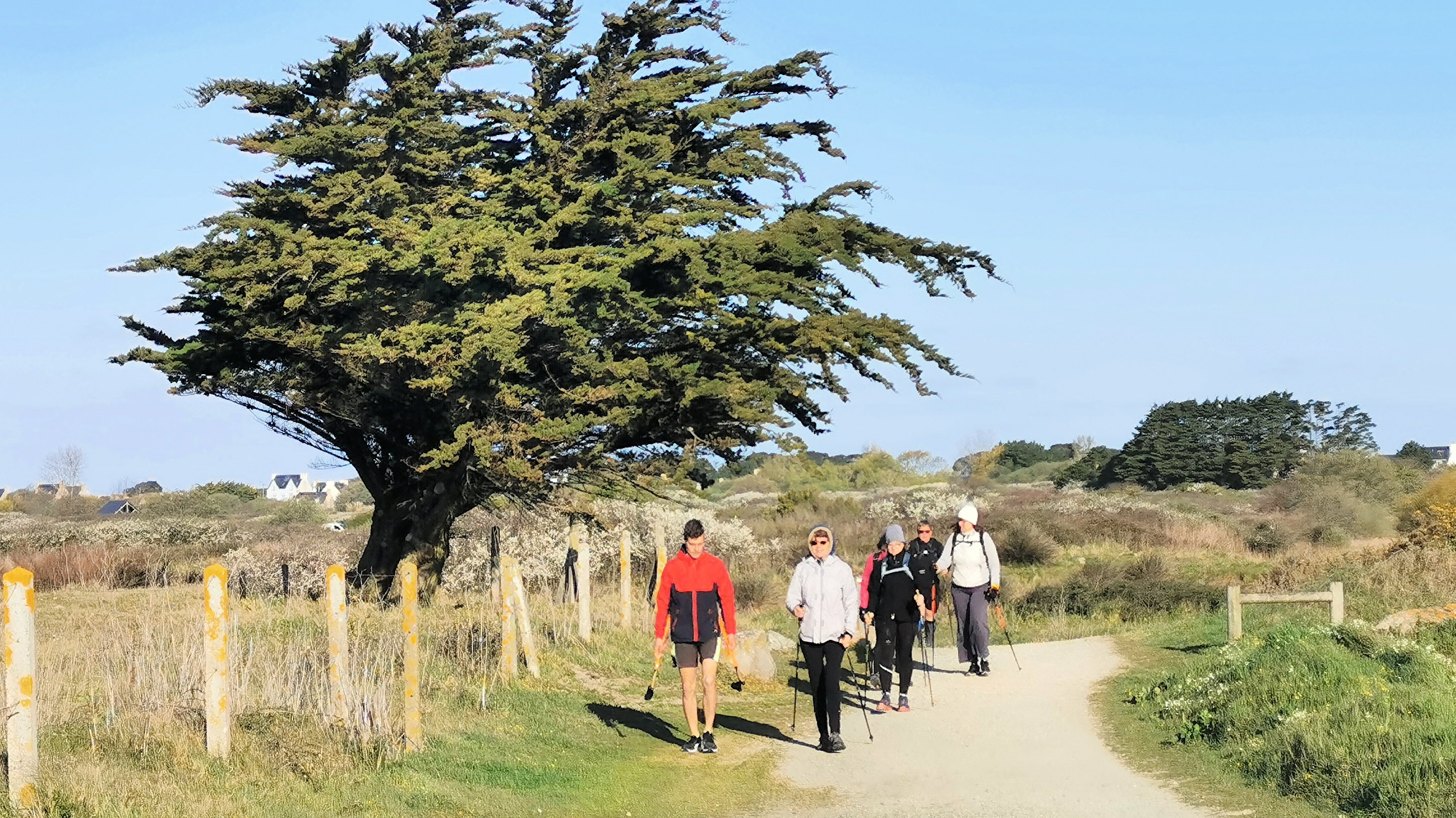 06-IMG_20210403_094603_1