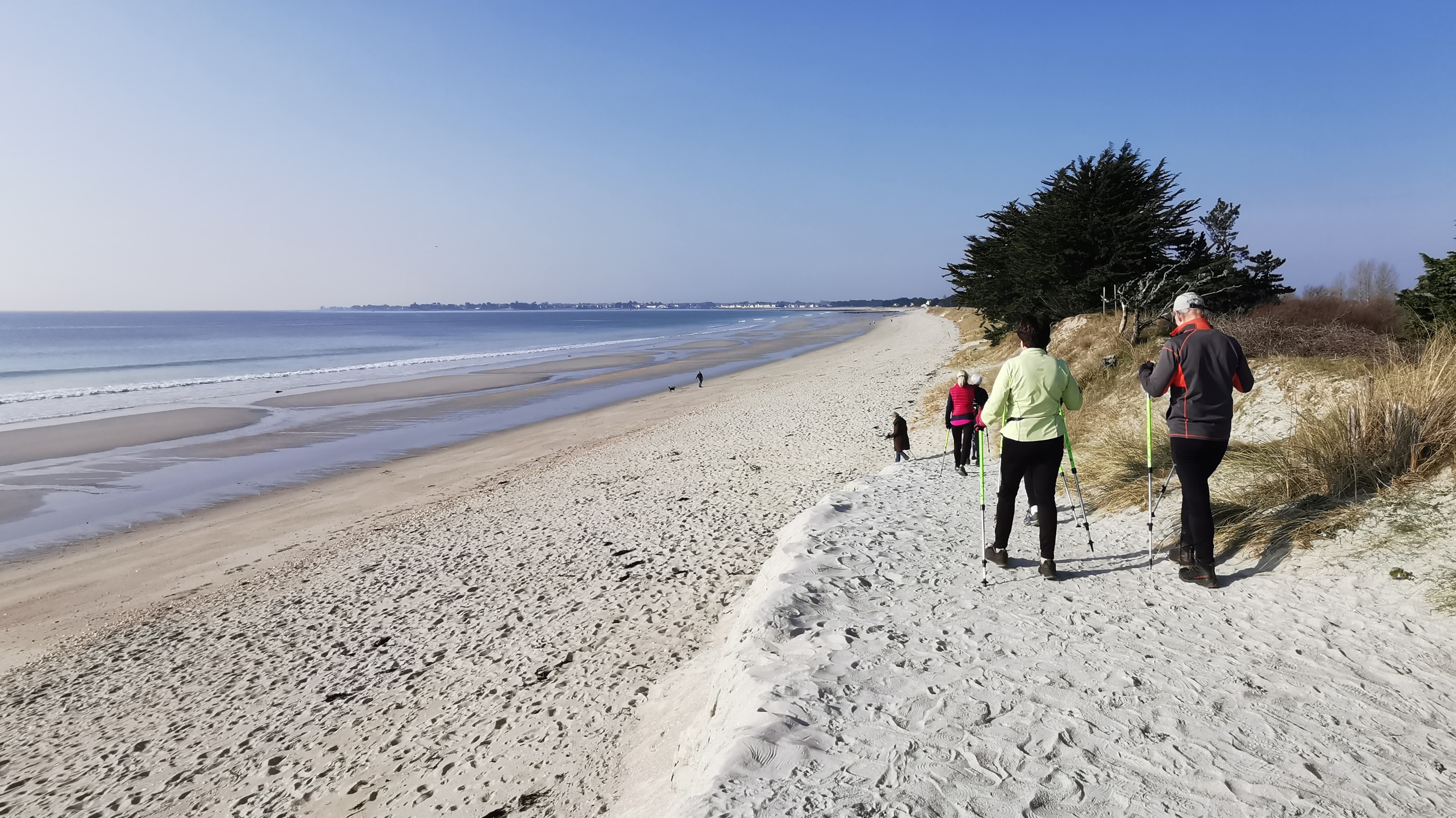 11-IMG_20210309_101343_1