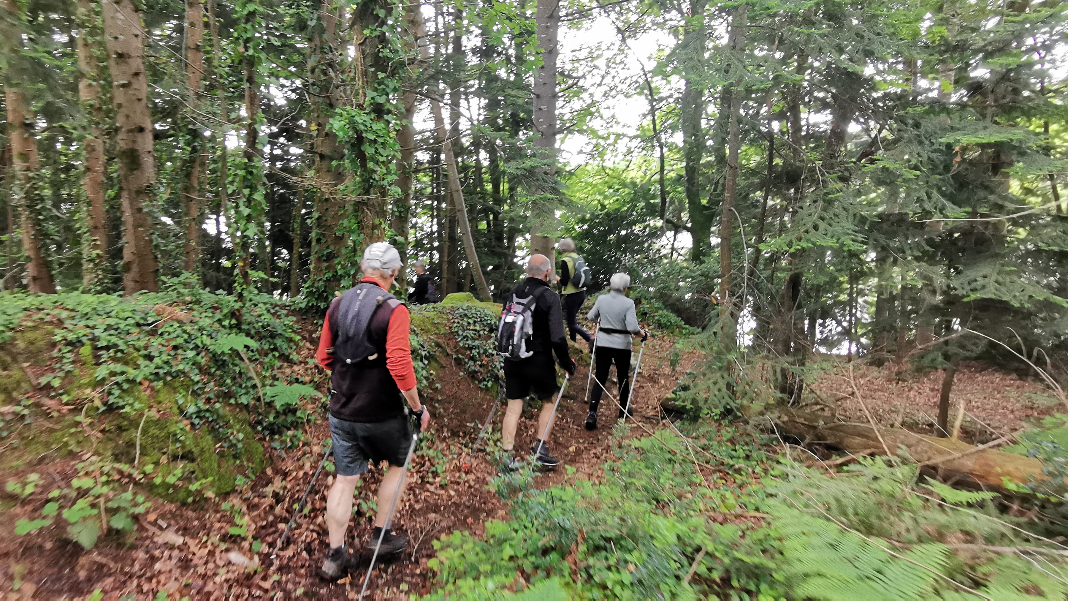 19-IMG_20210527_102656