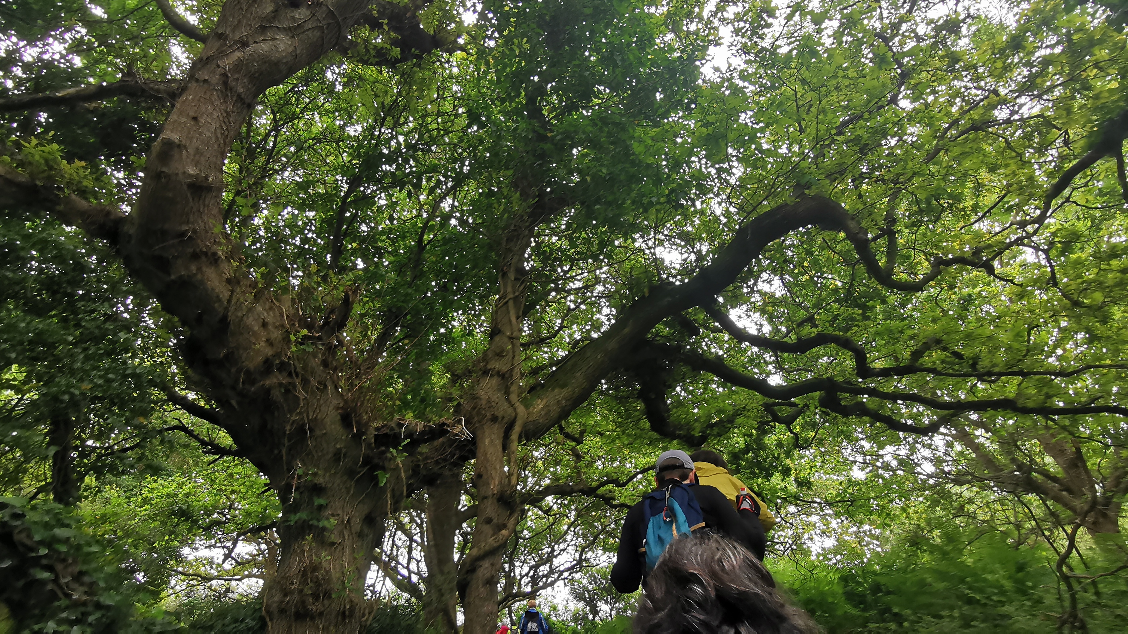 123-IMG_20210620_110716