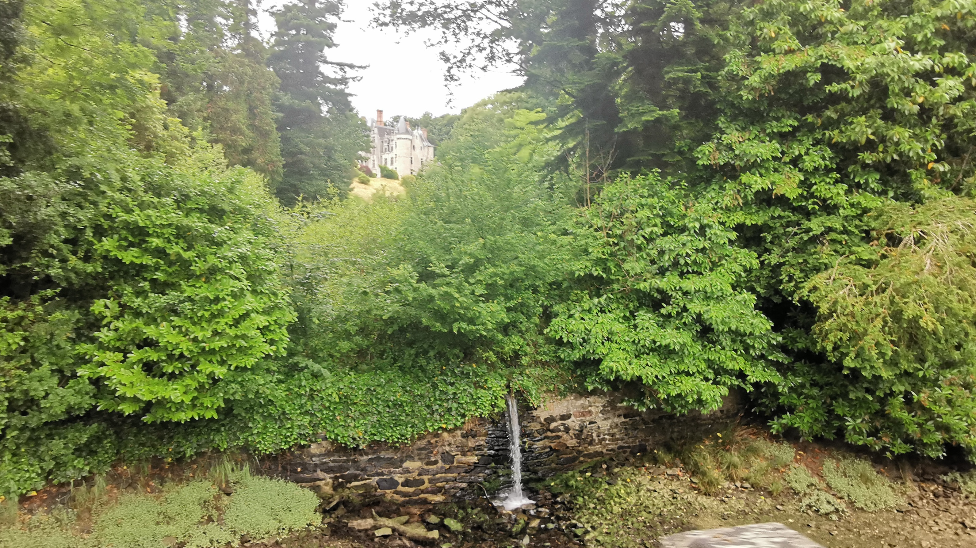 23-IMG_20210617_104614