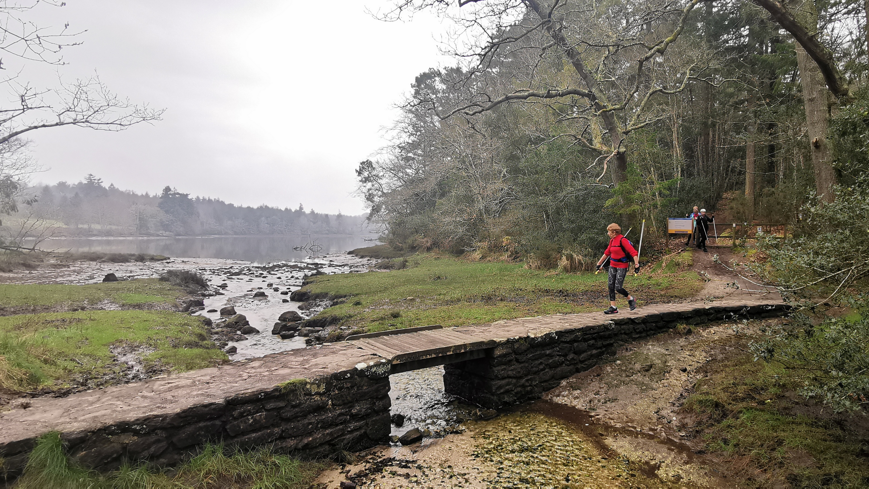 19-IMG_20210304_103450_1