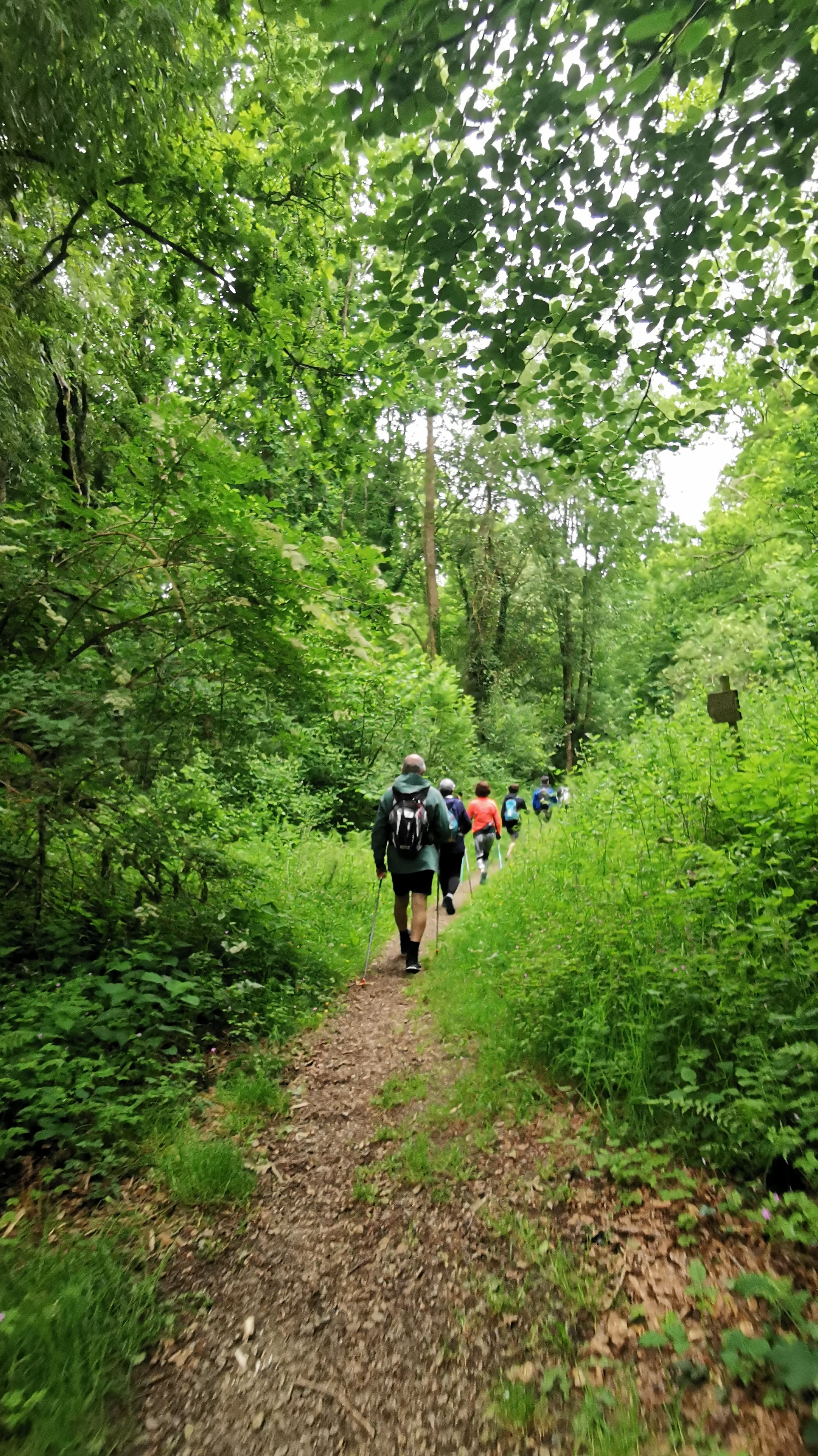 002-IMG_20210606_093626