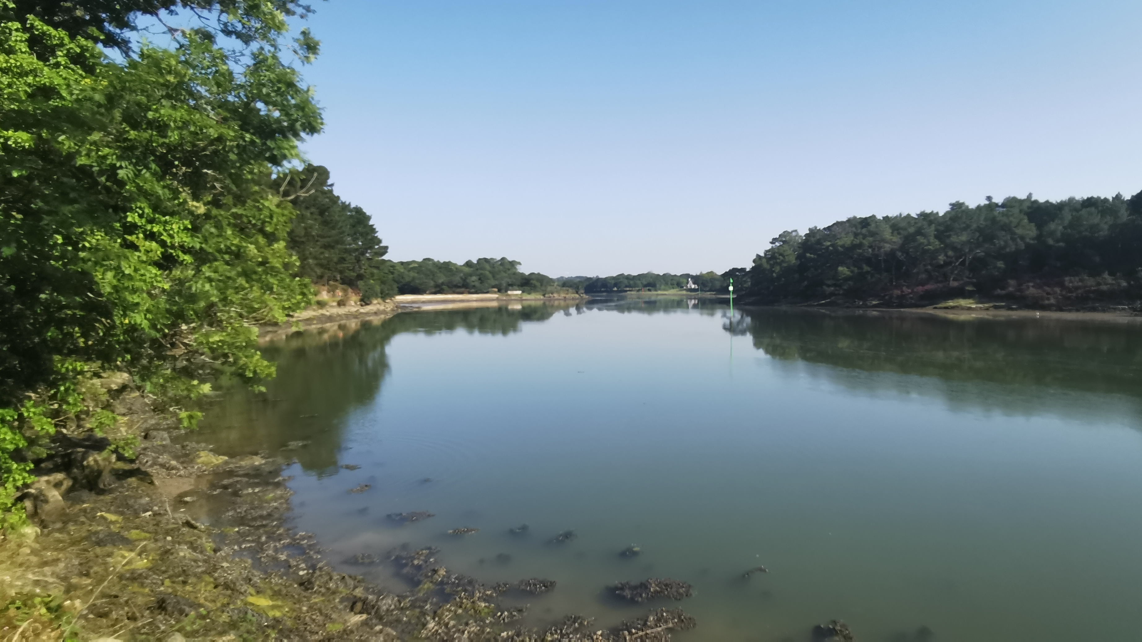 009-IMG_20210718_095308