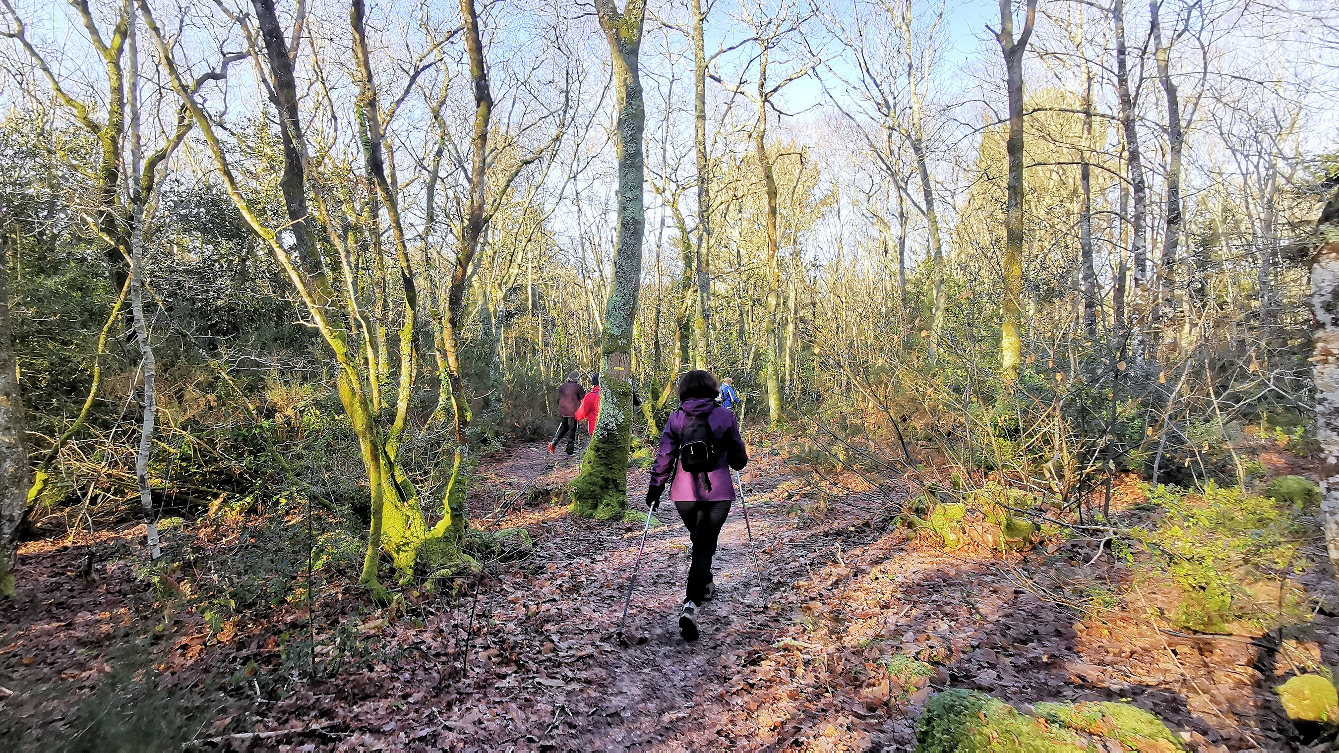 53-IMG_20210109_112302