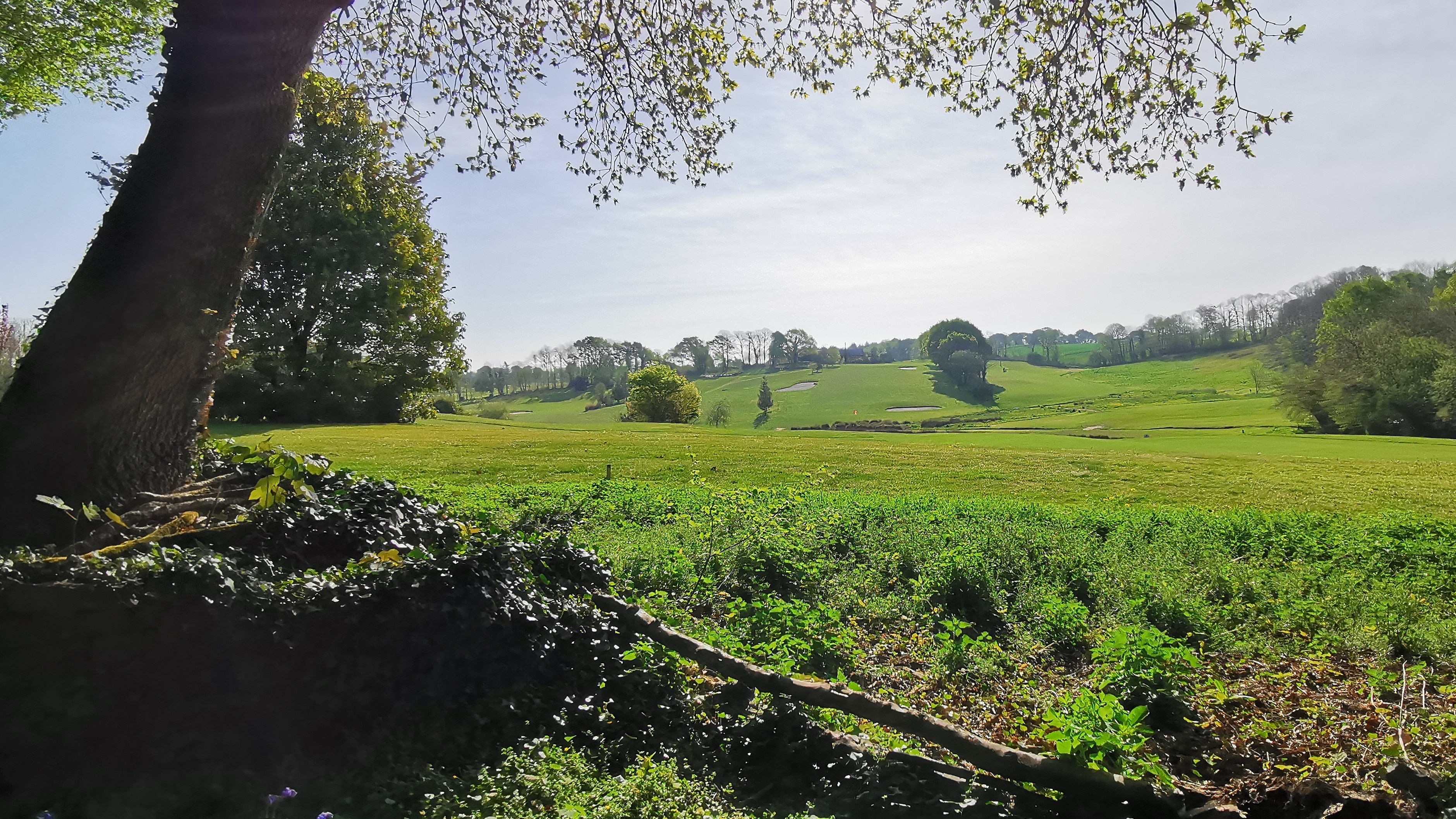 16-IMG_20210425_101016