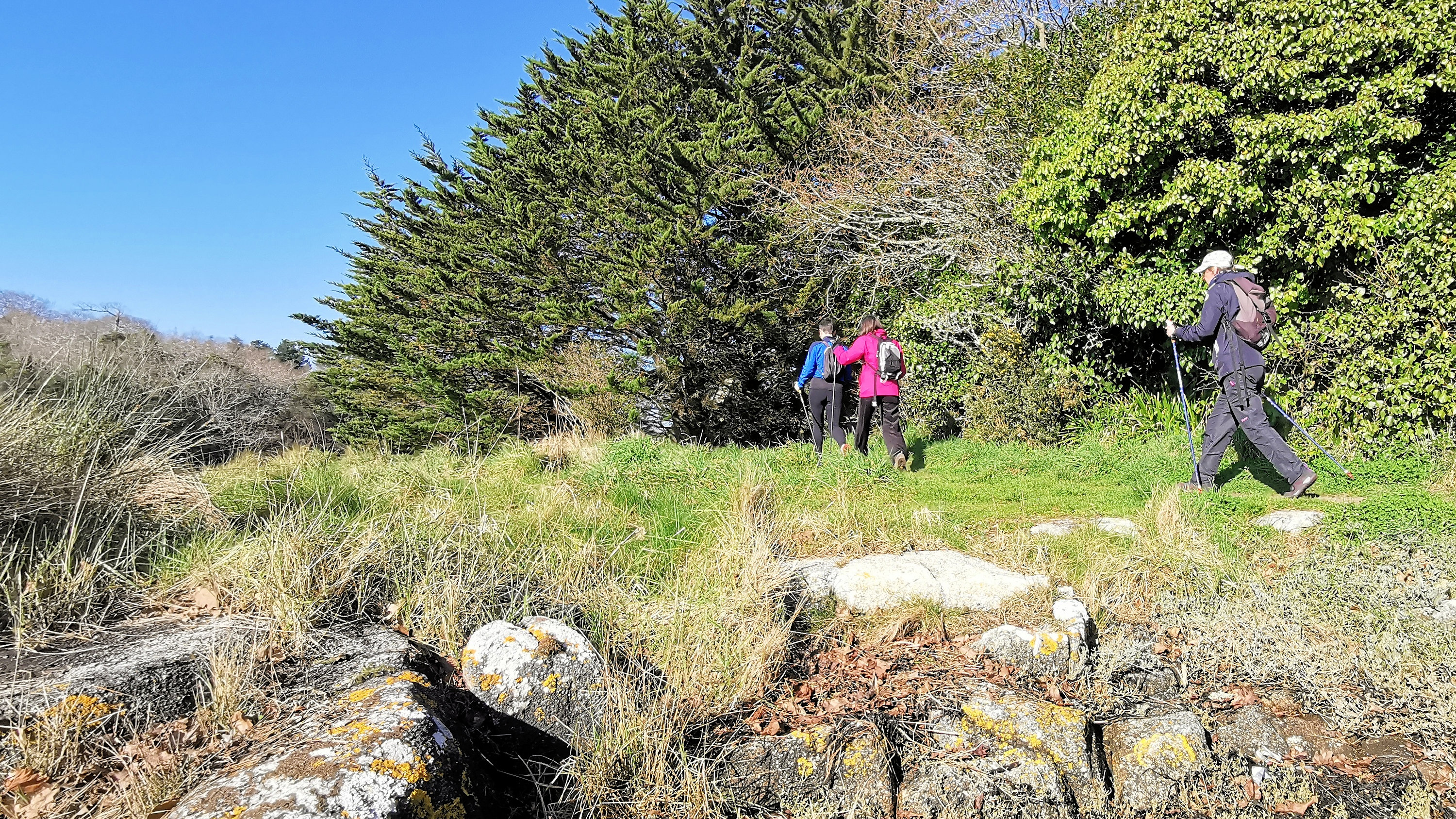 083-IMG_20210228_105715