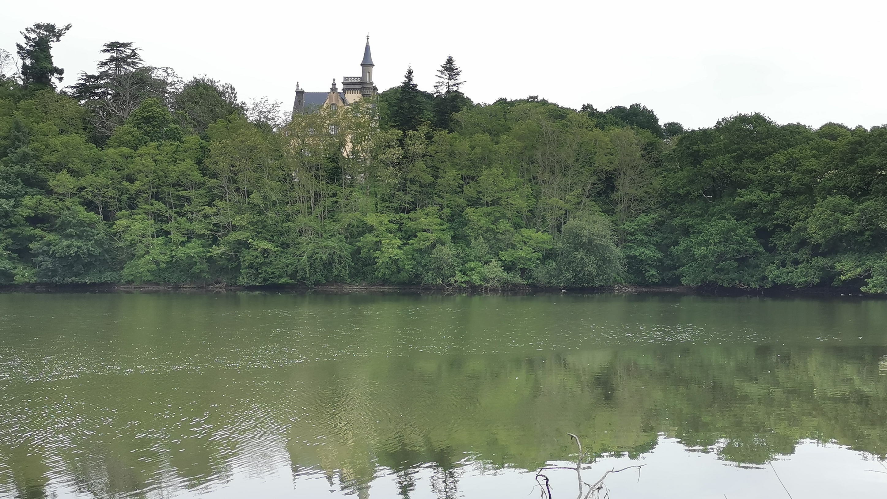 050-IMG_20210606_103937_1