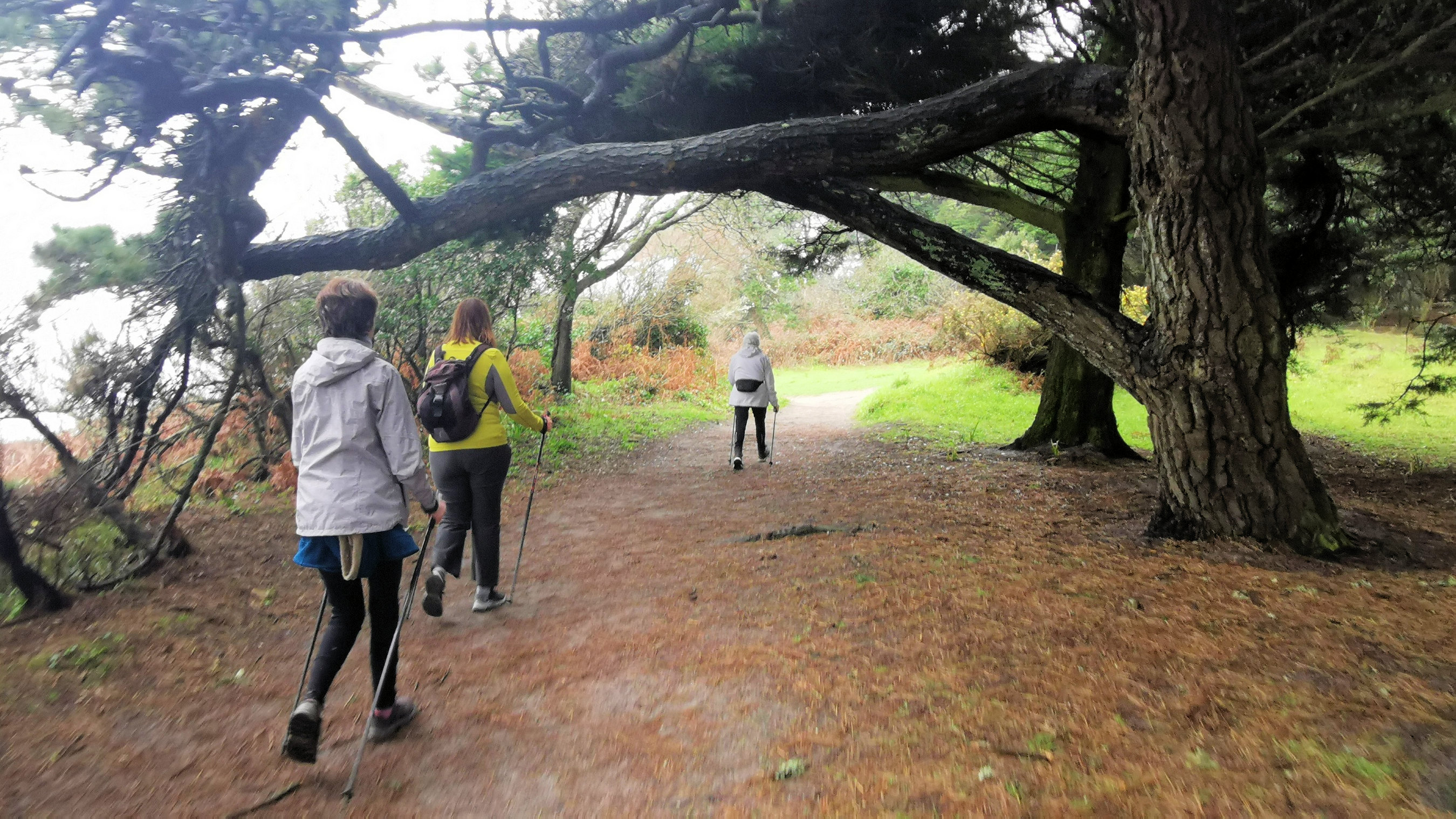 34-IMG_20210221_110133