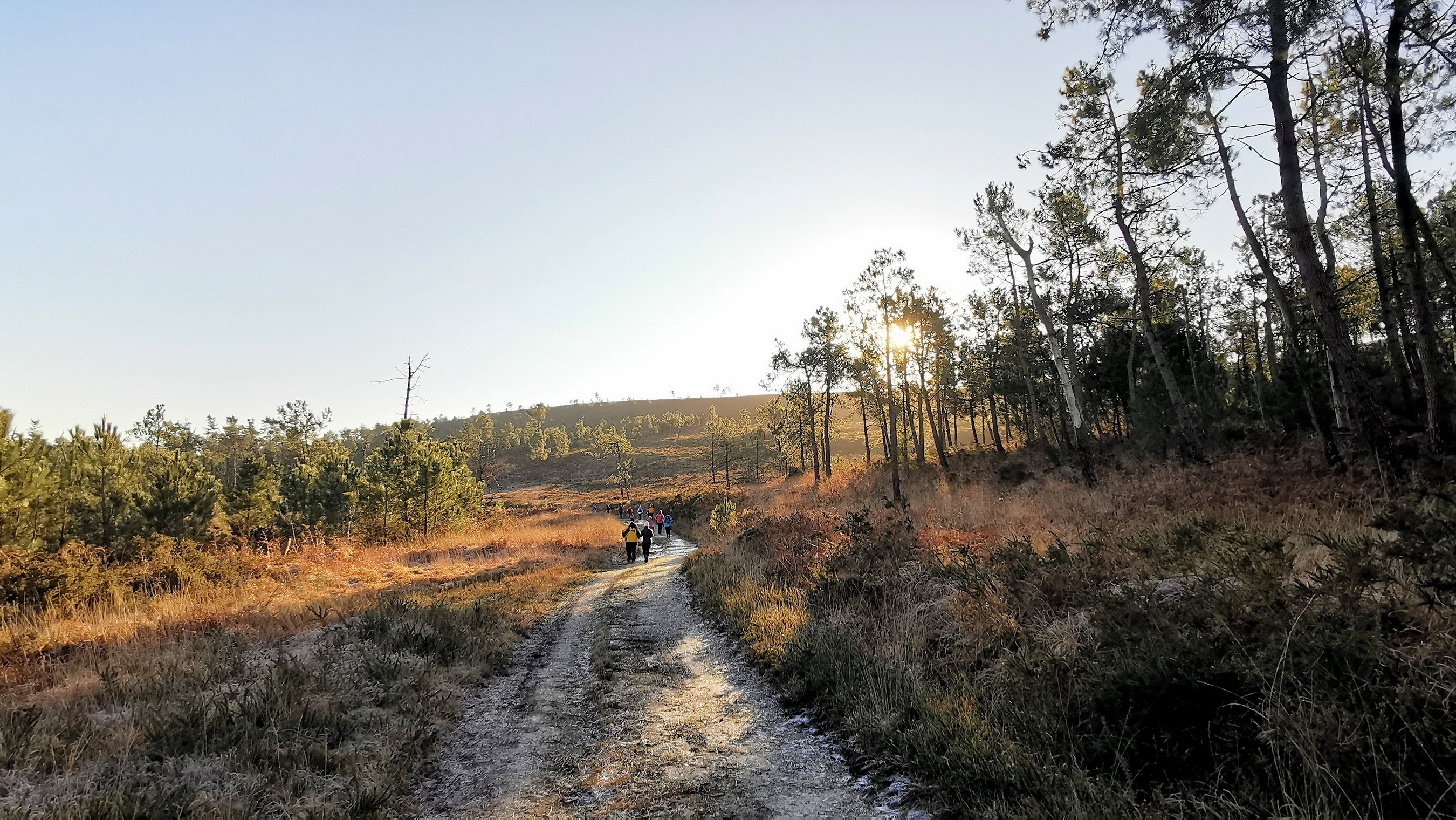 066-IMG_20210110_104349