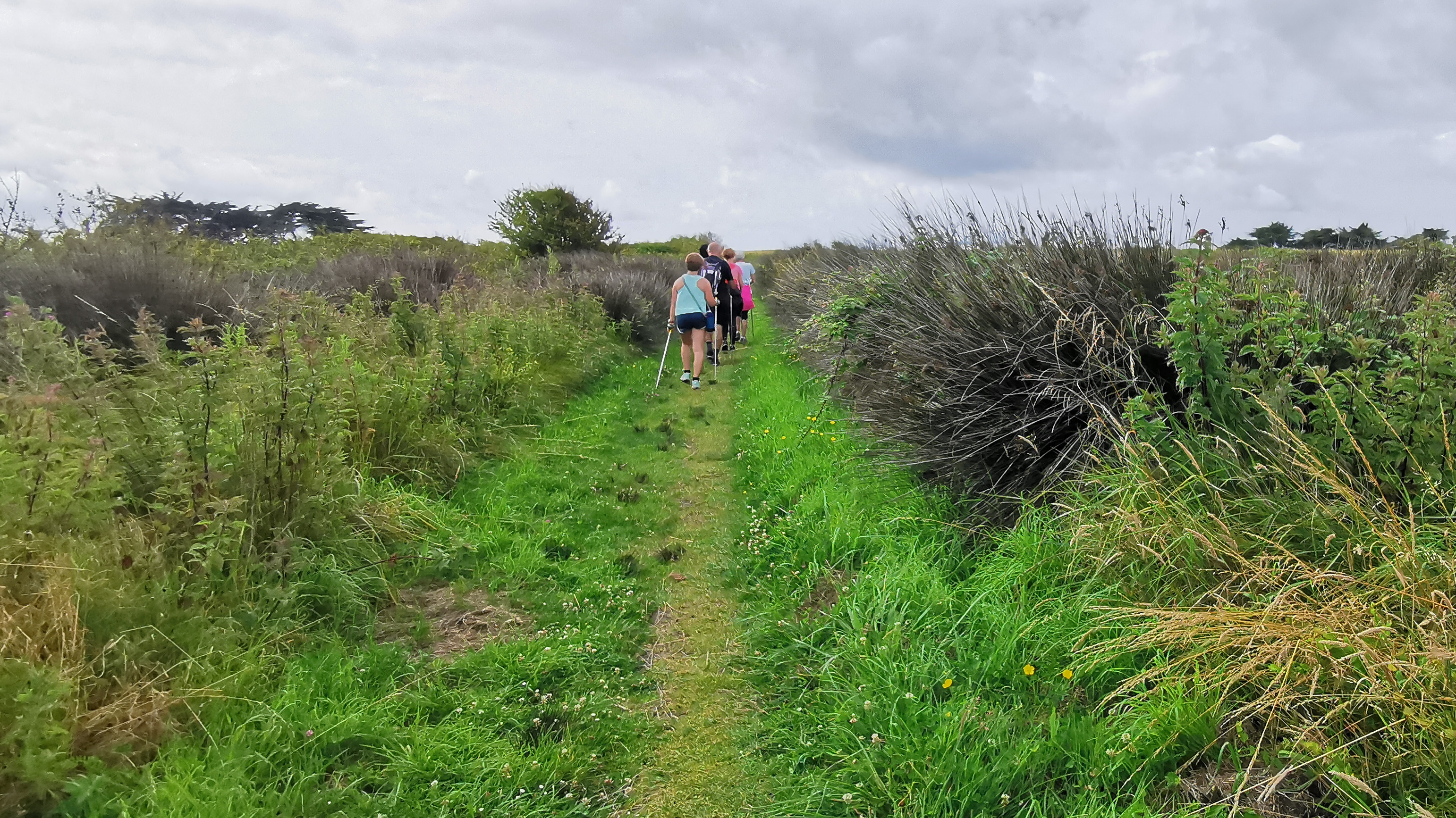 51-IMG_20210711_111902