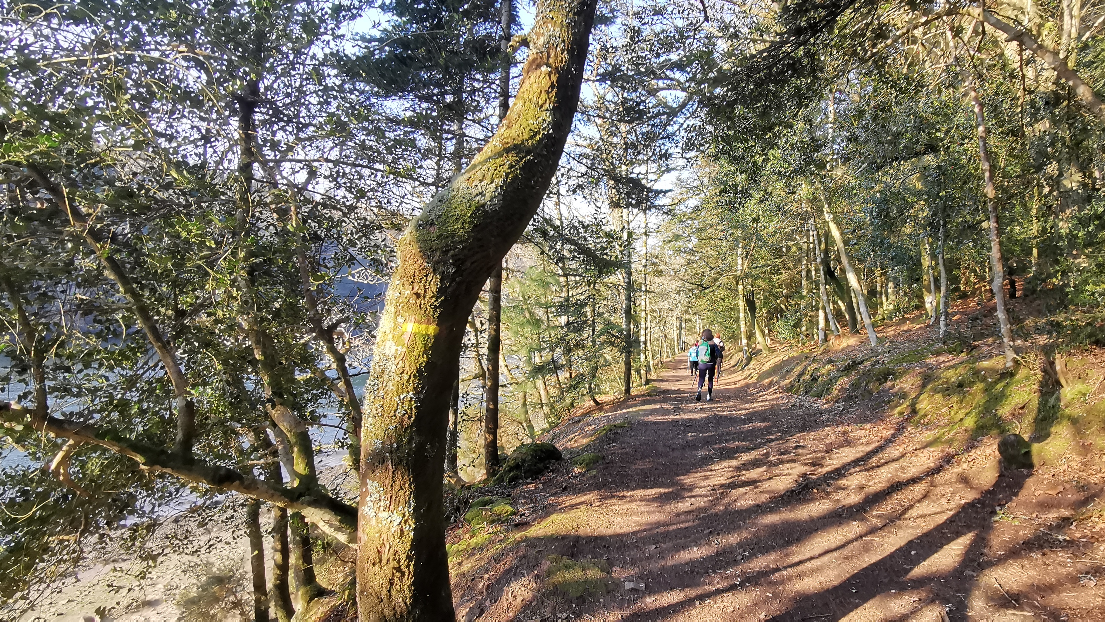 07-IMG_20210308_095330