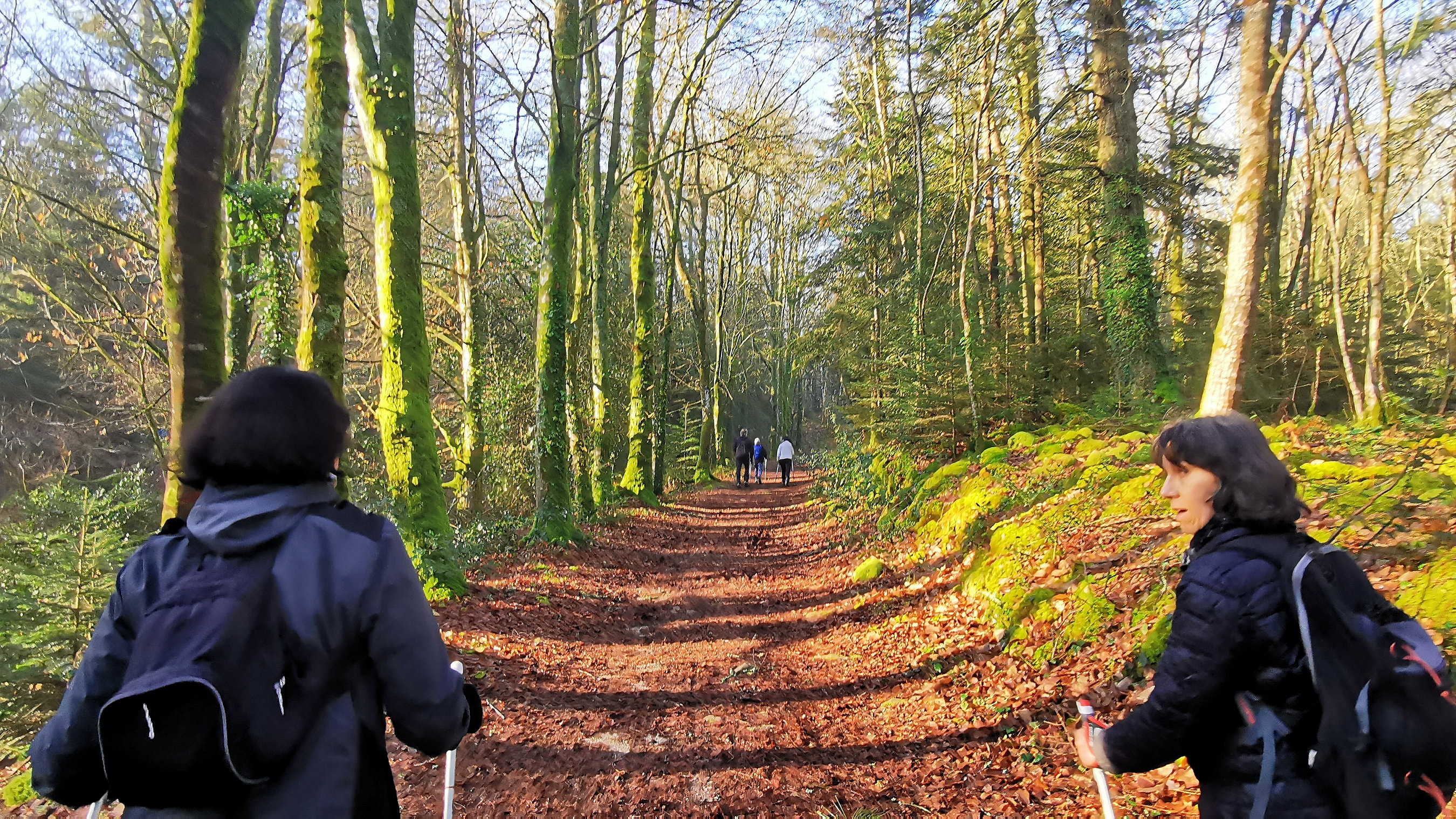 33-IMG_20210206_110150