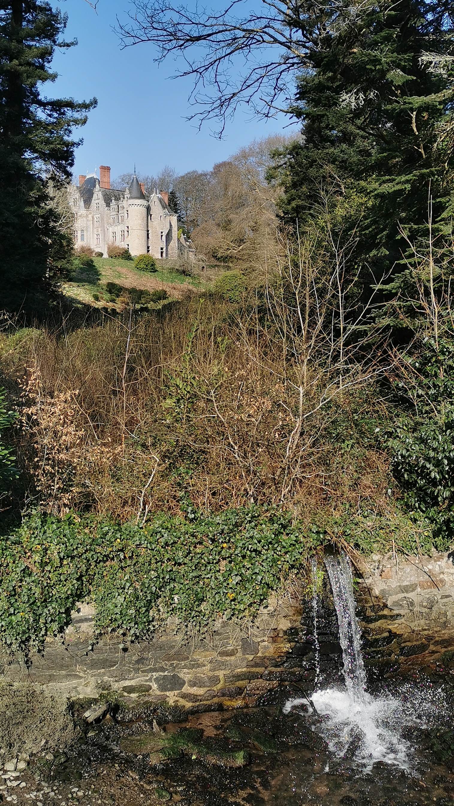 29-IMG_20210308_104641