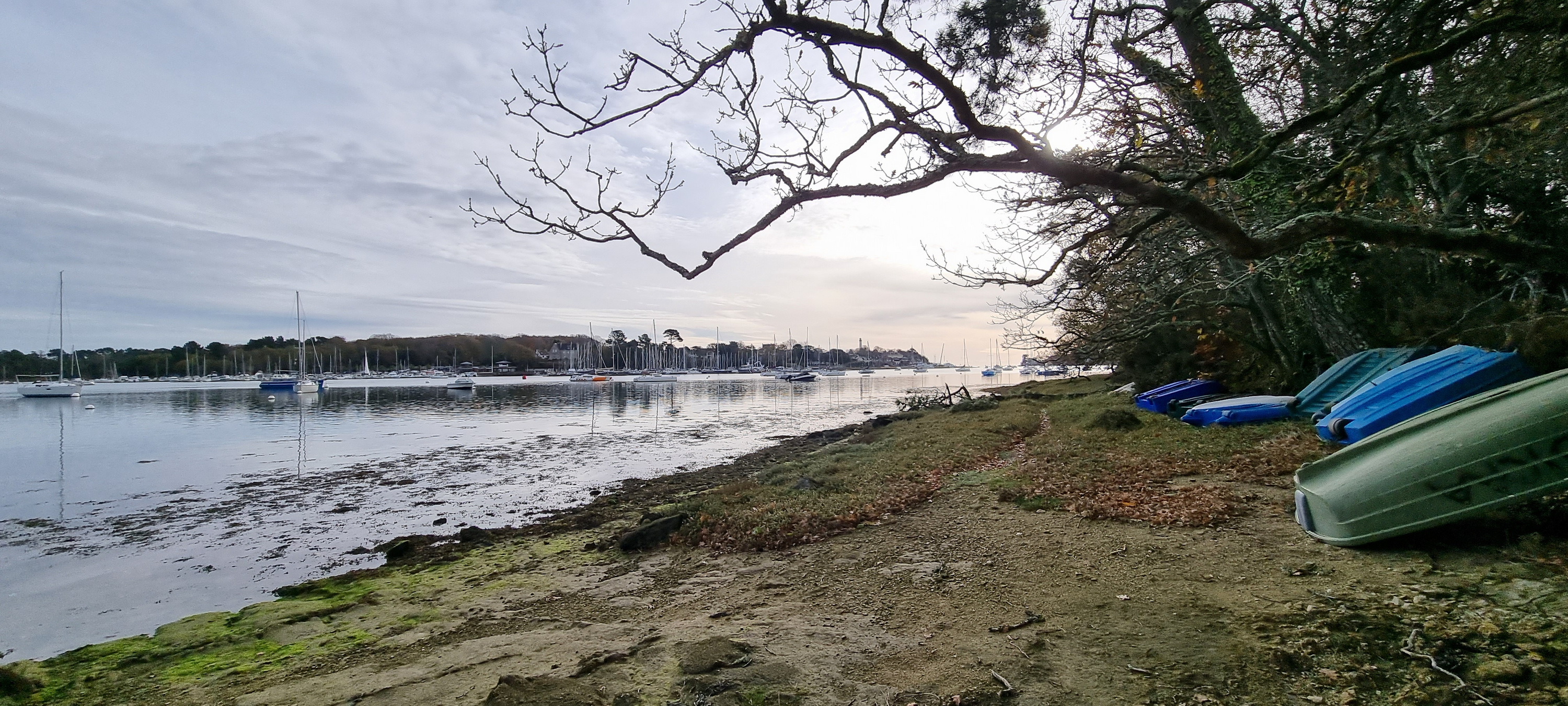 81-20211129_114416(0)