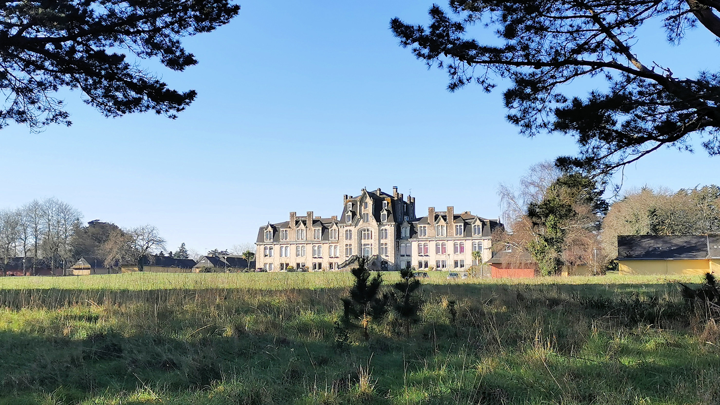 071-IMG_20210228_103917