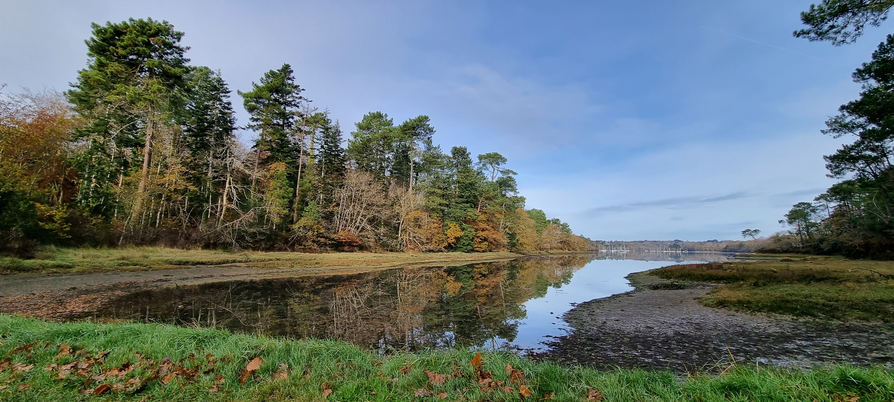 47-20211129_110054(0)