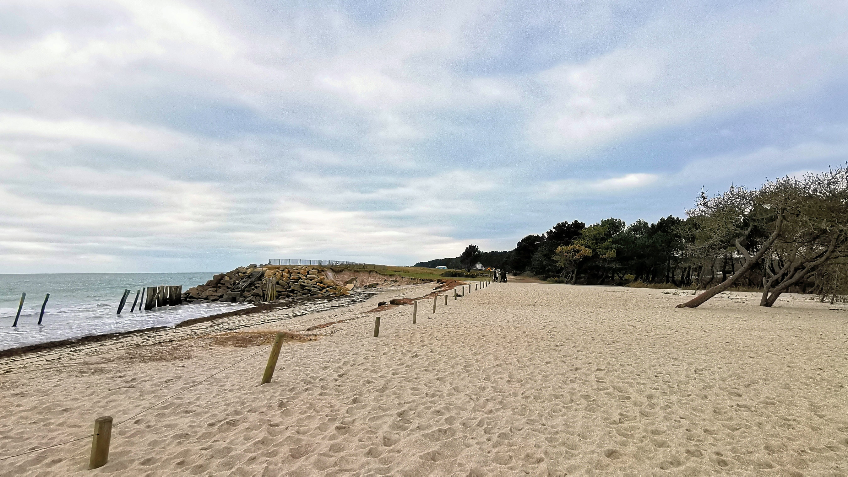 25-IMG_20210208_114625