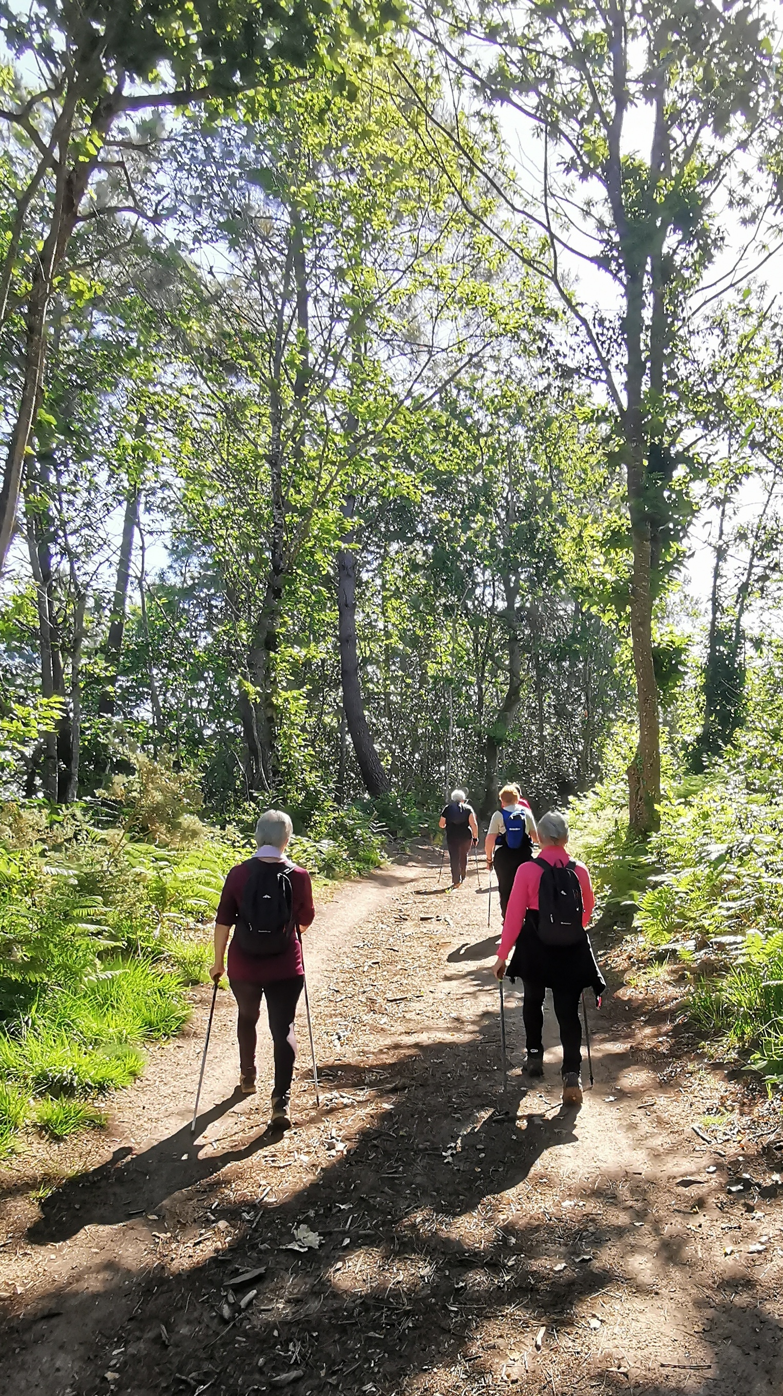 10-IMG_20210614_103810