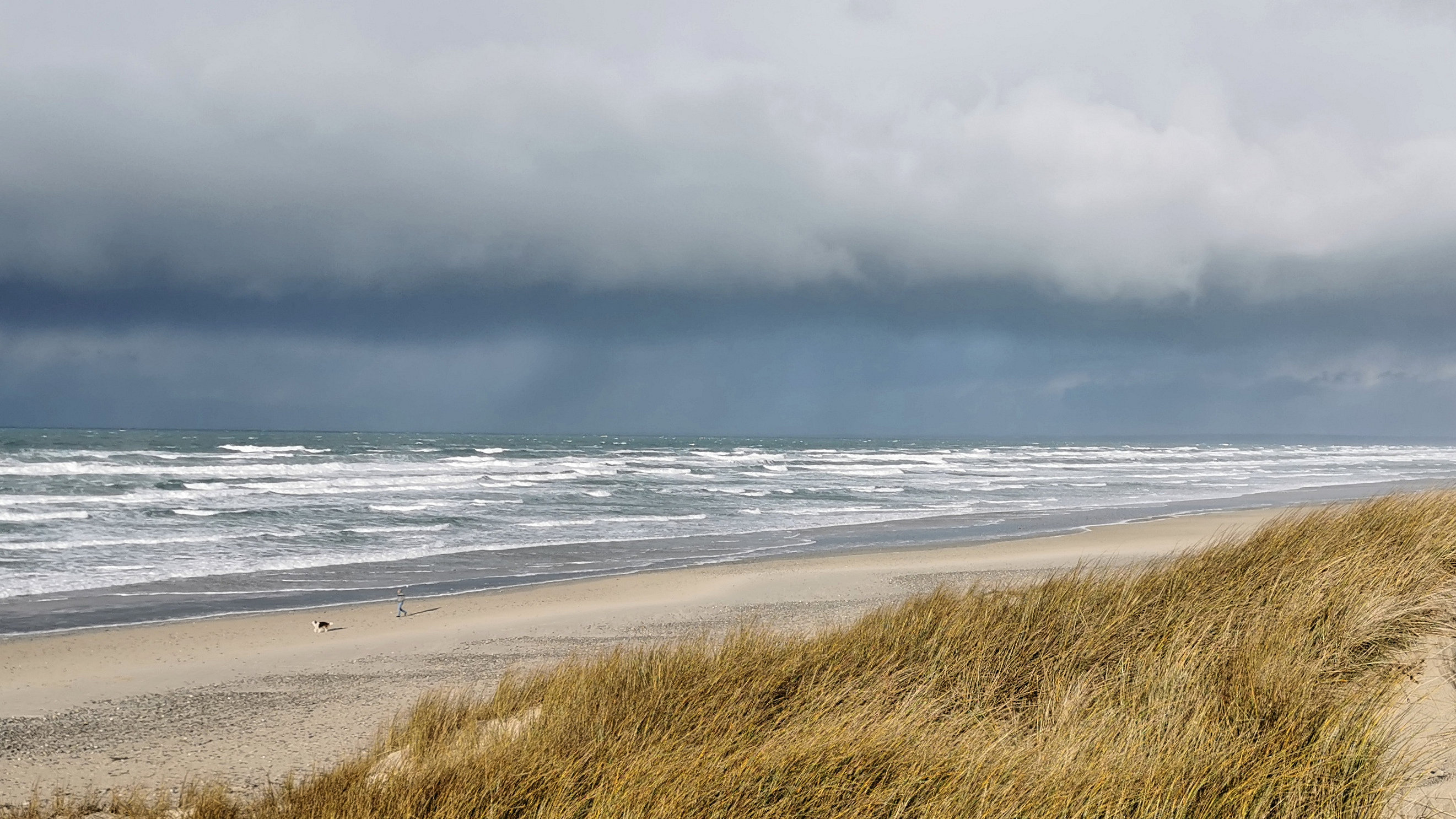 51-IMG_20210124_105156