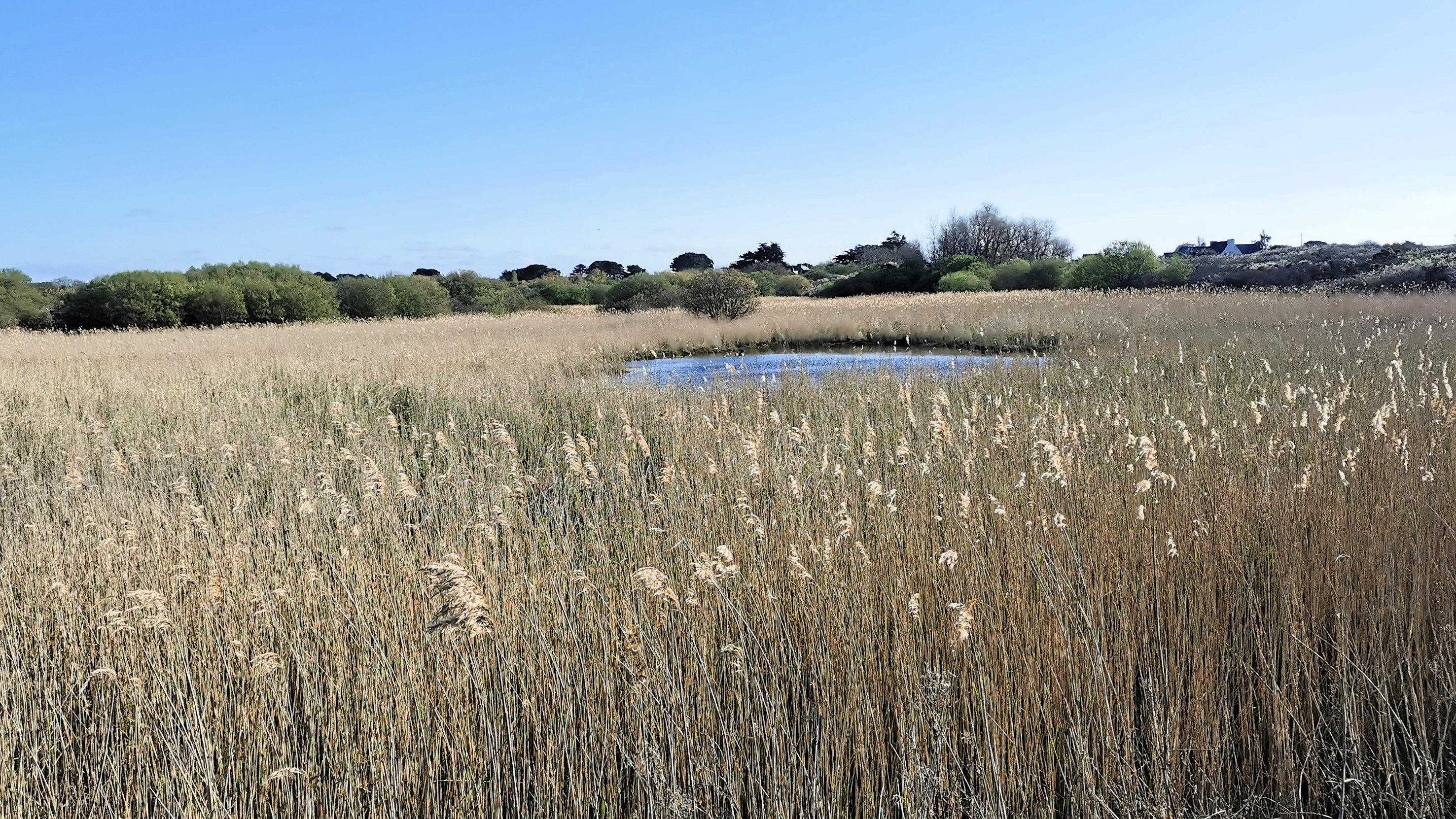 16-IMG_20210403_102750_1