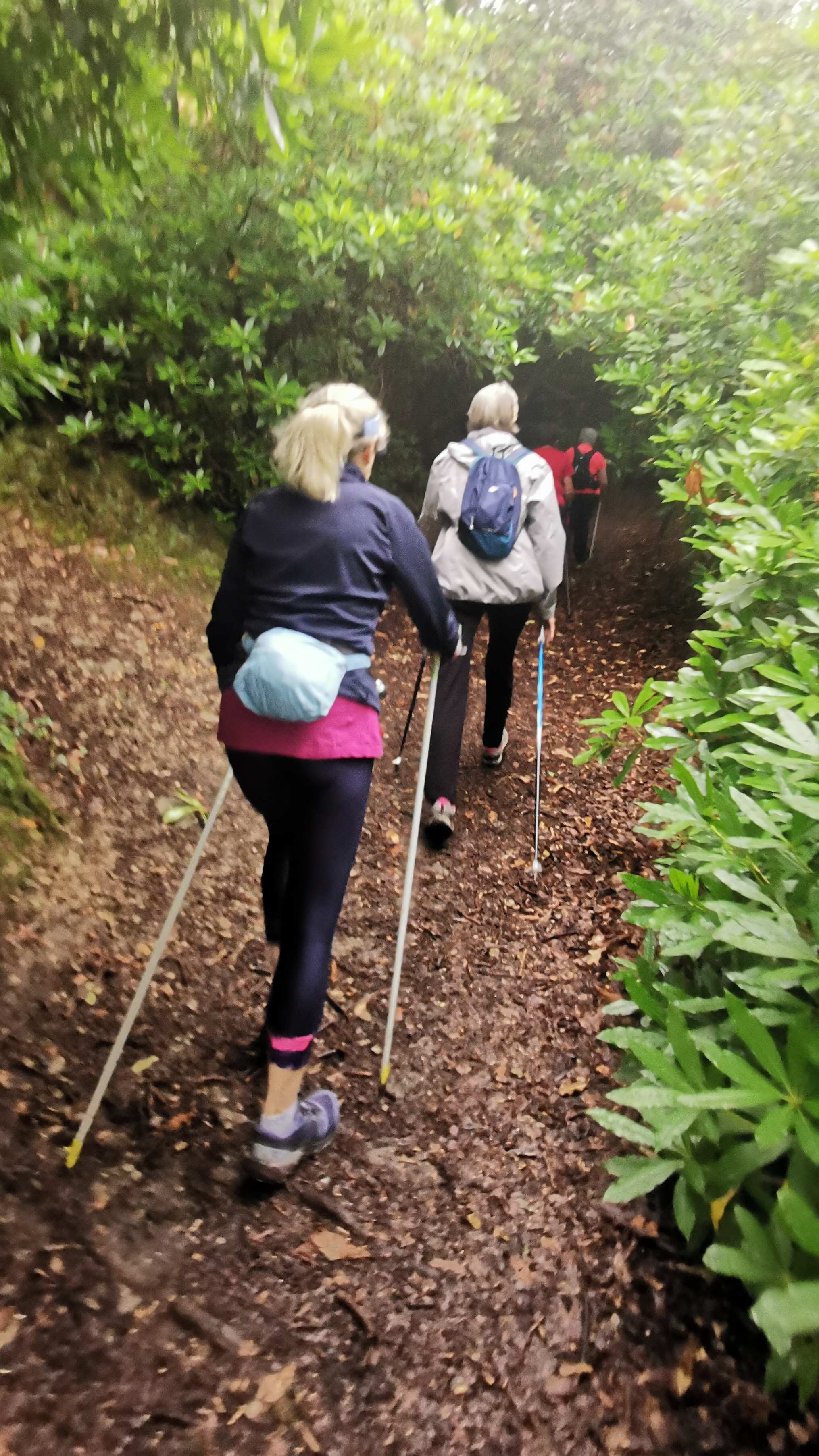 22-IMG_20210617_104448_1