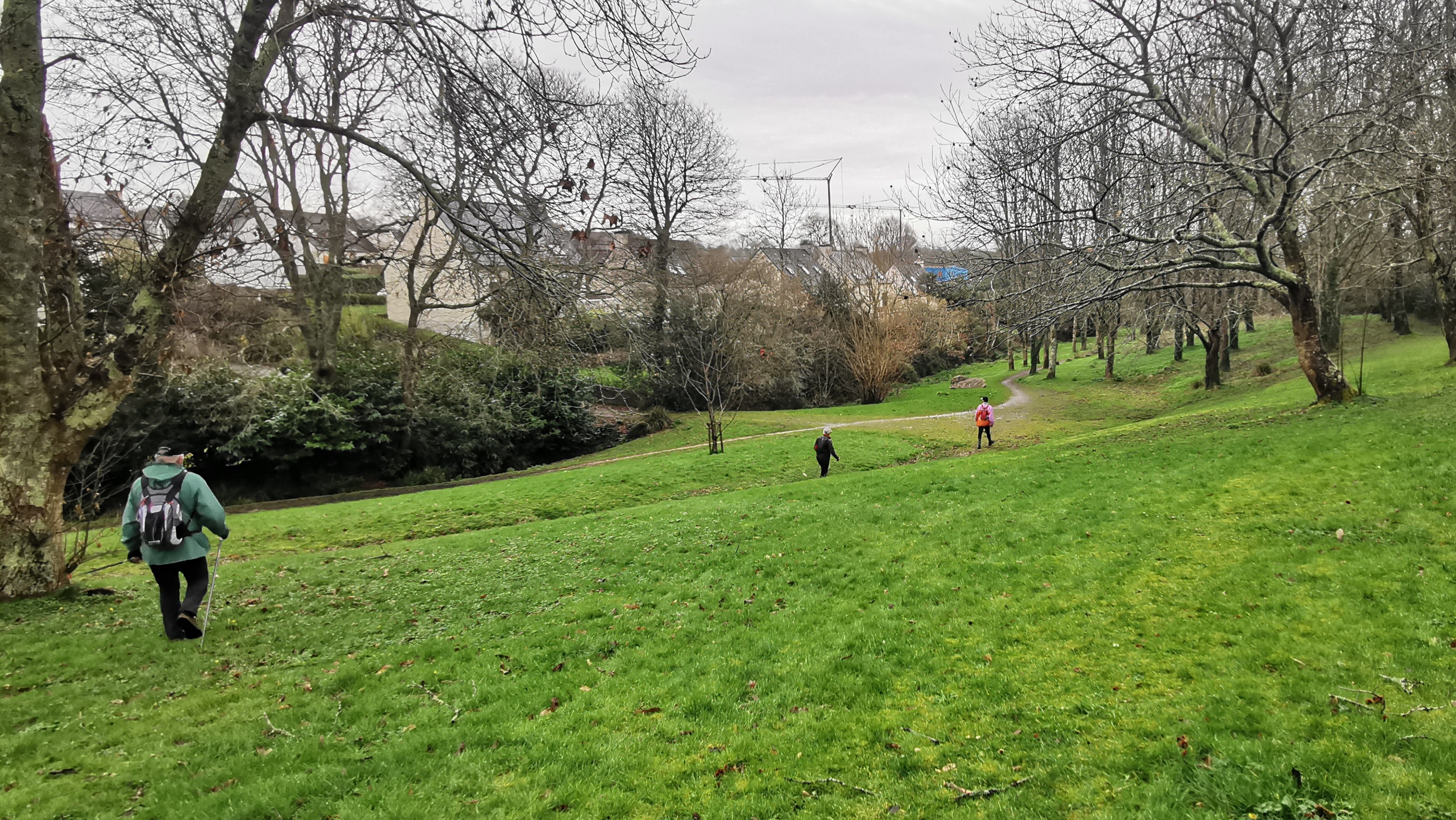 017-IMG_20210220_101353