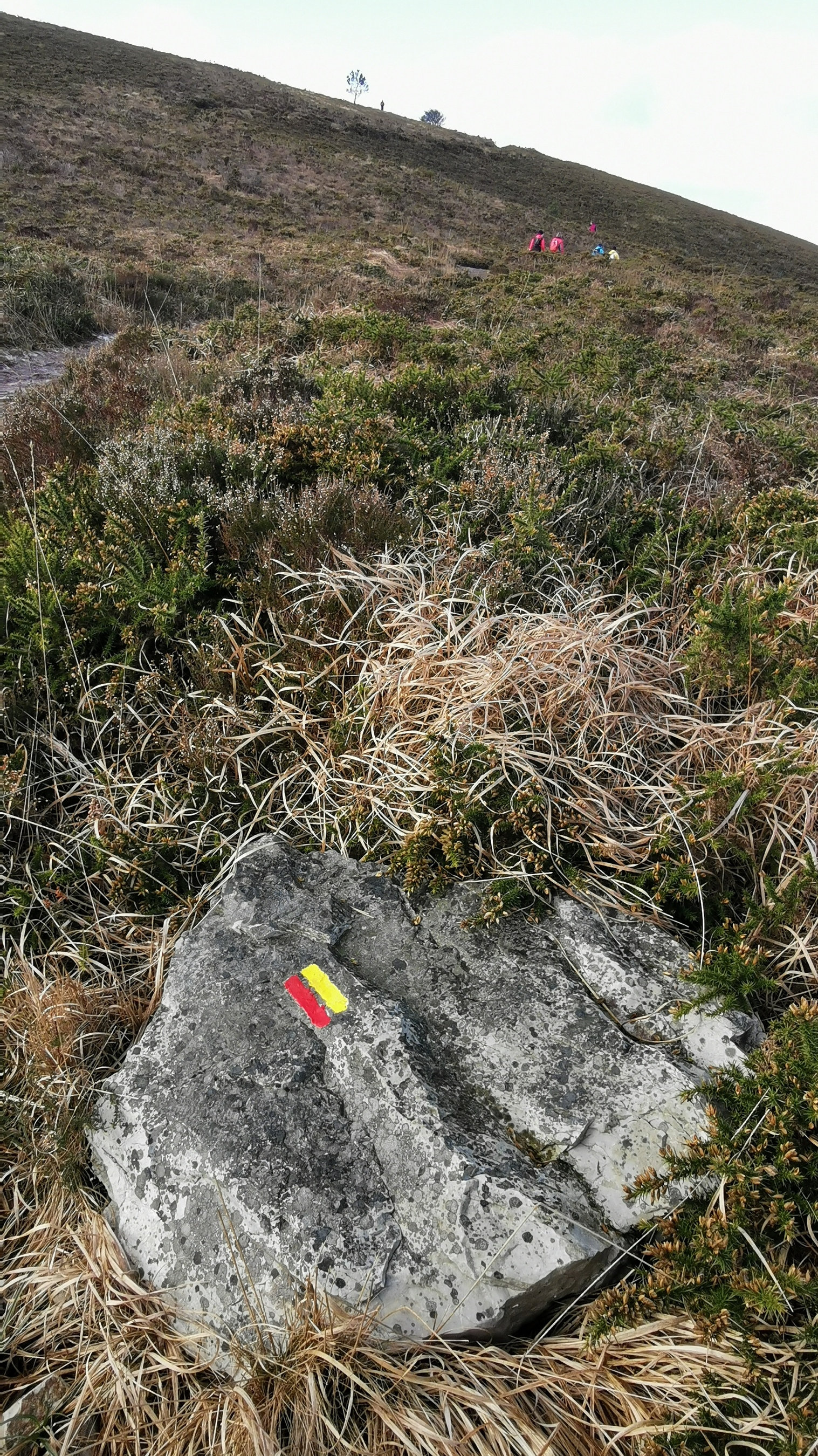 109-IMG_20210110_110814