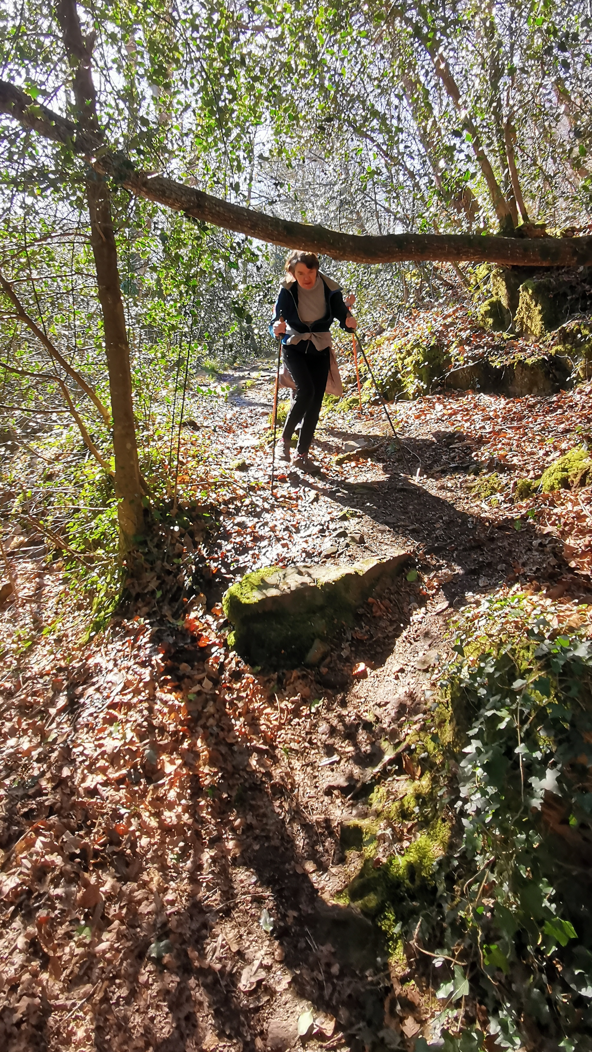 43-IMG_20210320_113014