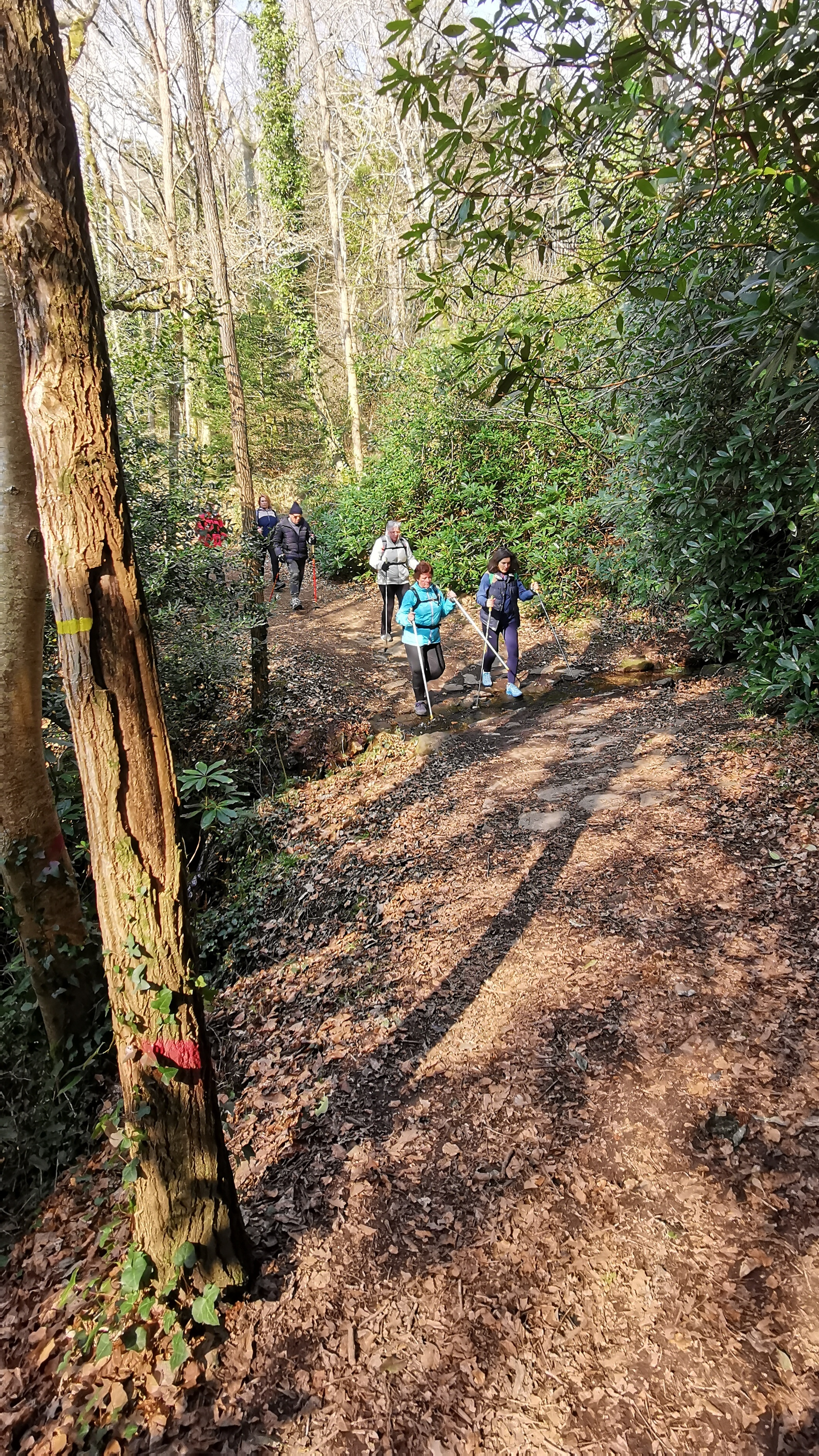 68-IMG_20210308_113542