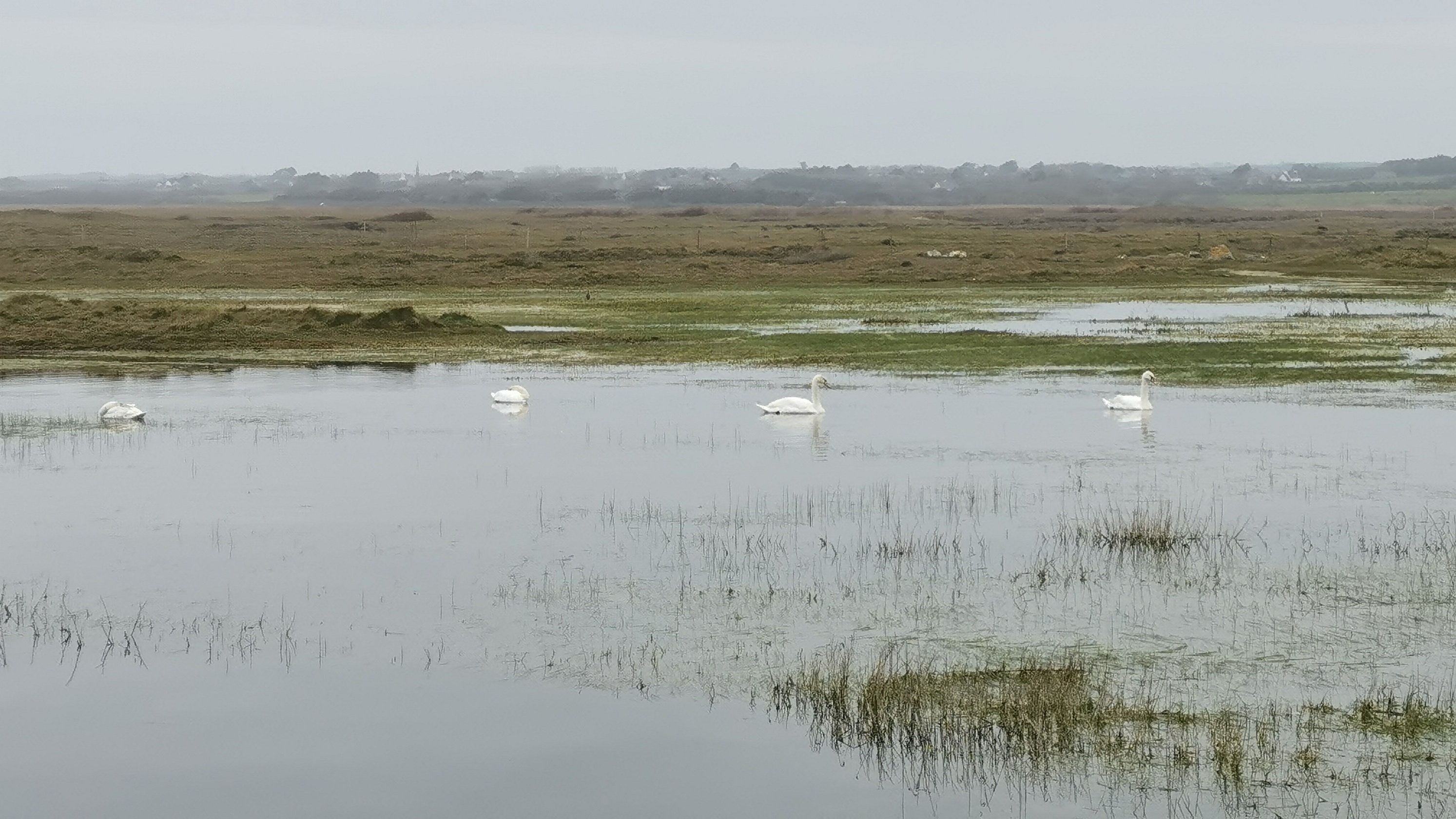 01-IMG_20210321_090142