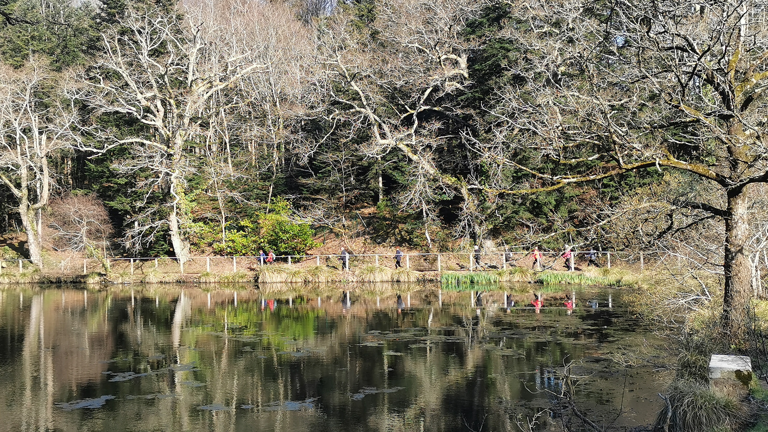 46-IMG_20210318_103247