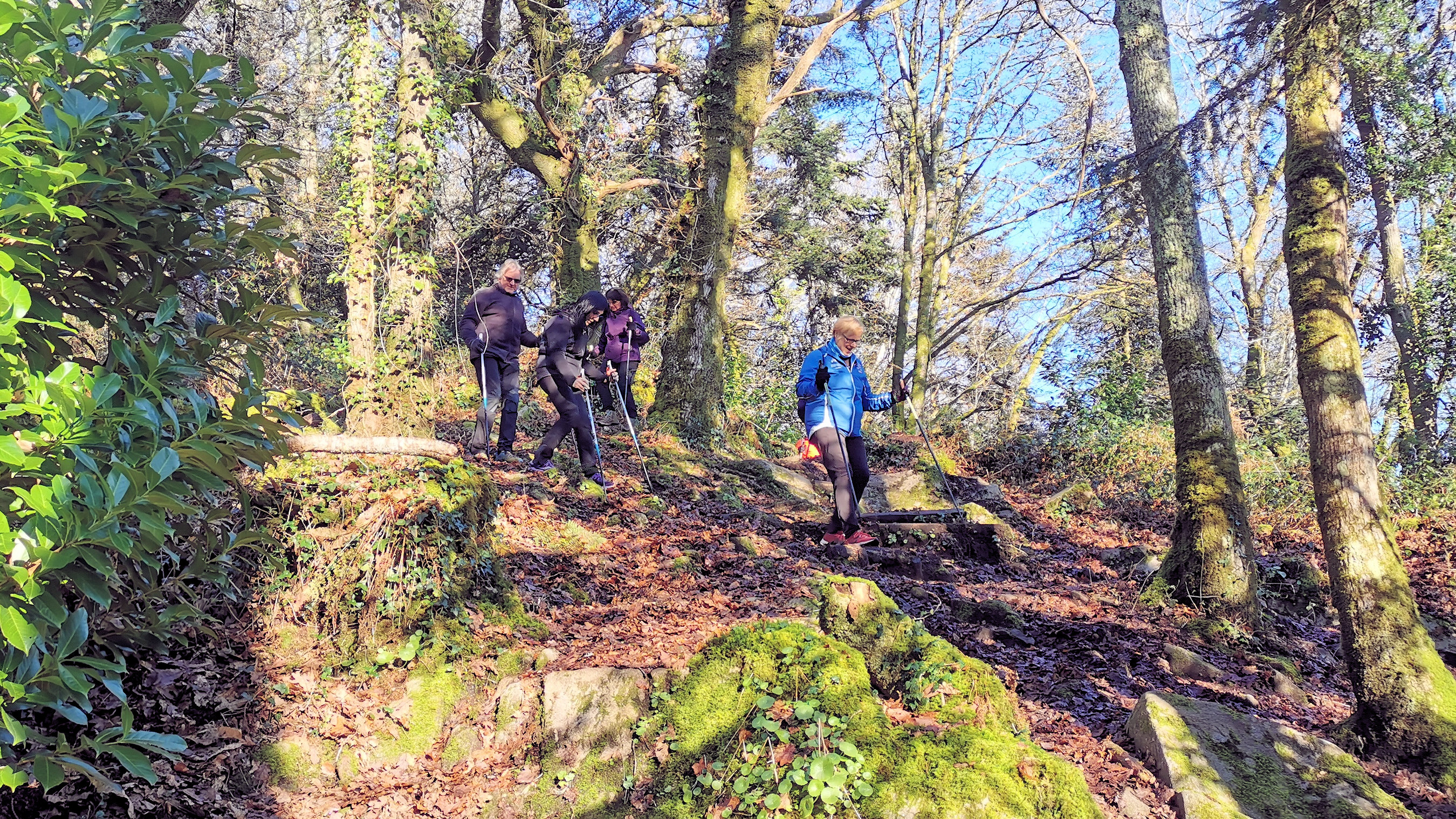 44-IMG_20210109_110441