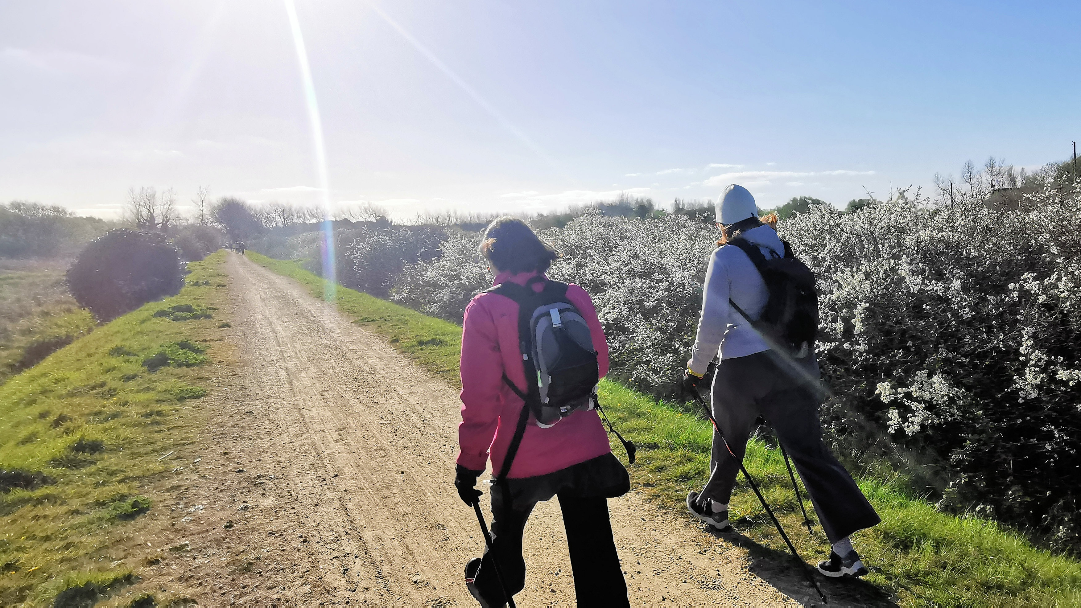 14-IMG_20210403_101010