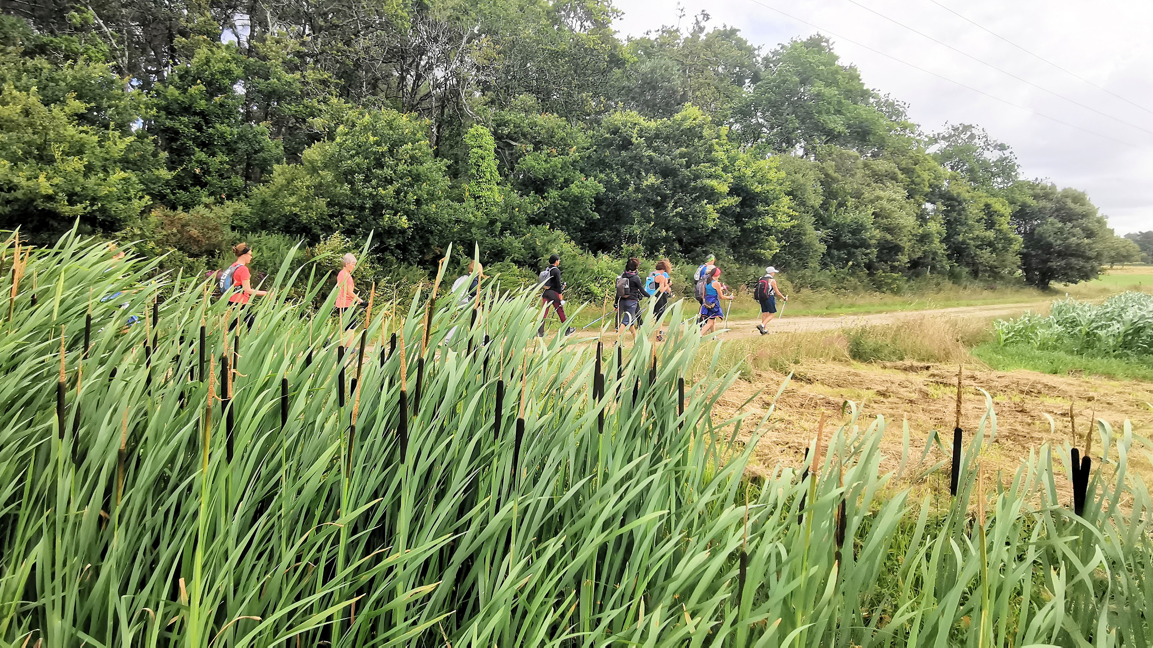 268-IMG_20210704_120338_1