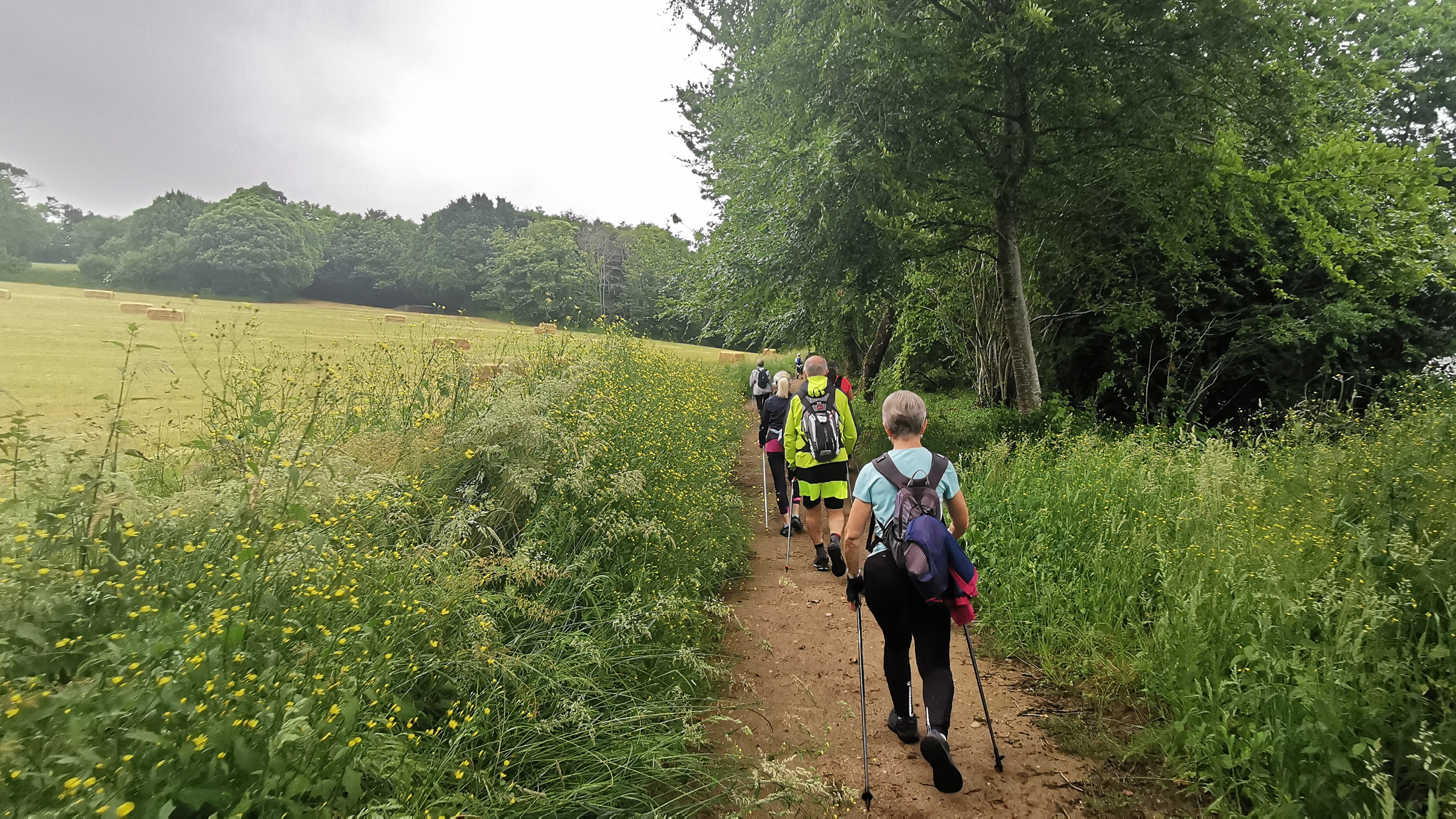 26-IMG_20210617_104820