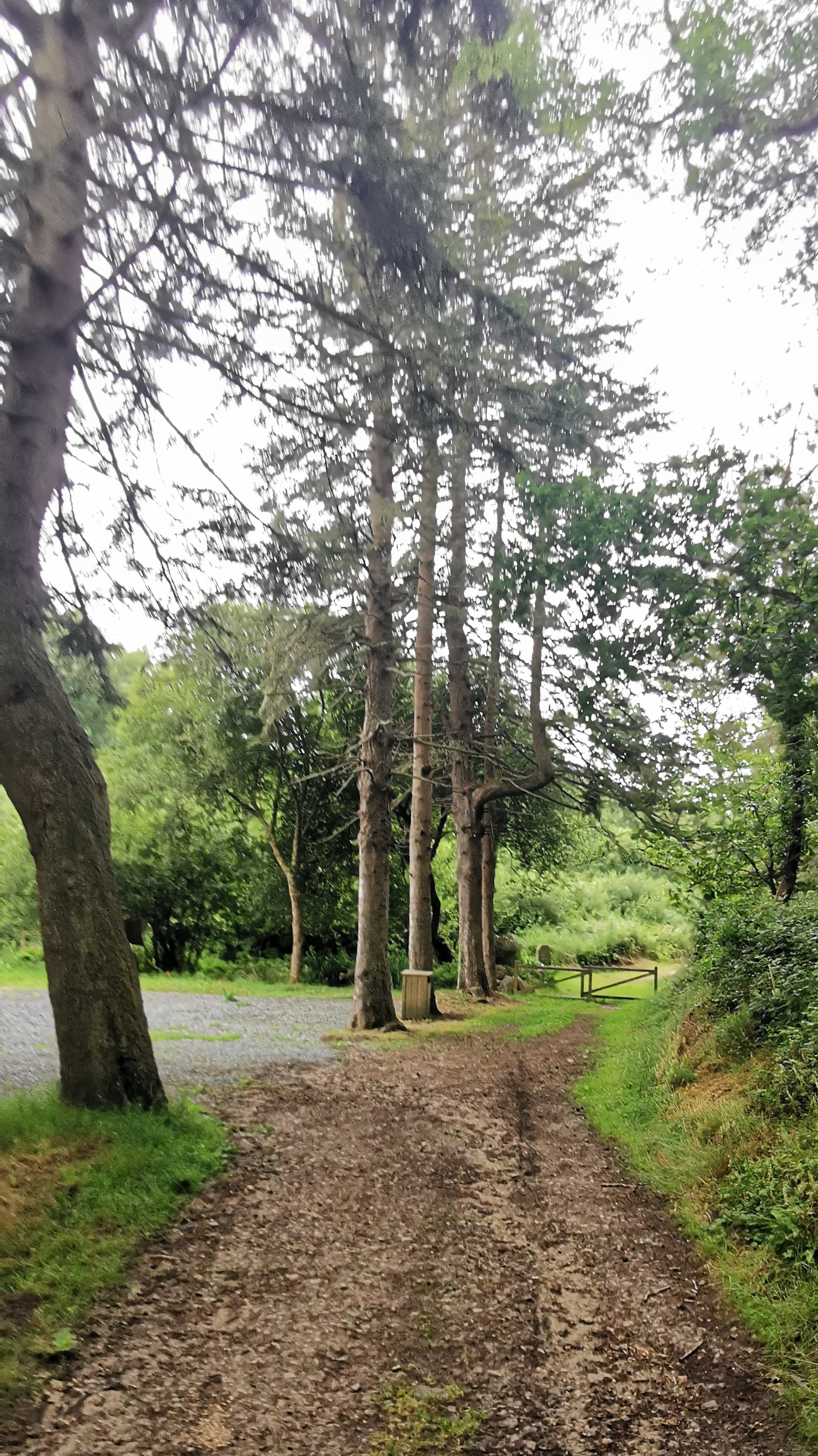 099-IMG_20210620_105606