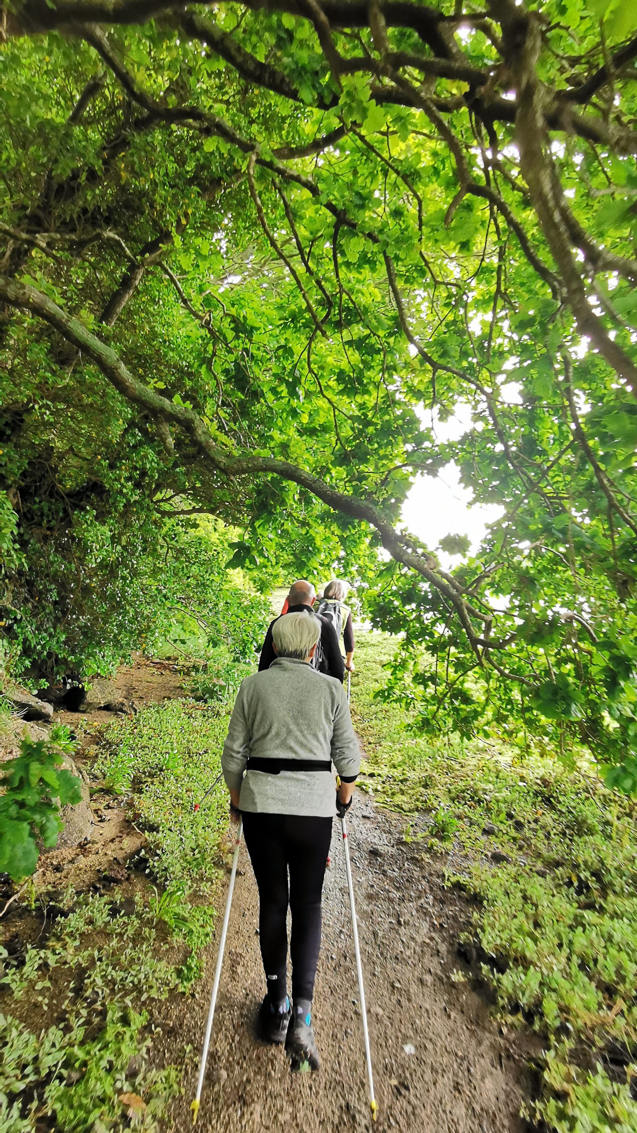 26-IMG_20210527_103147