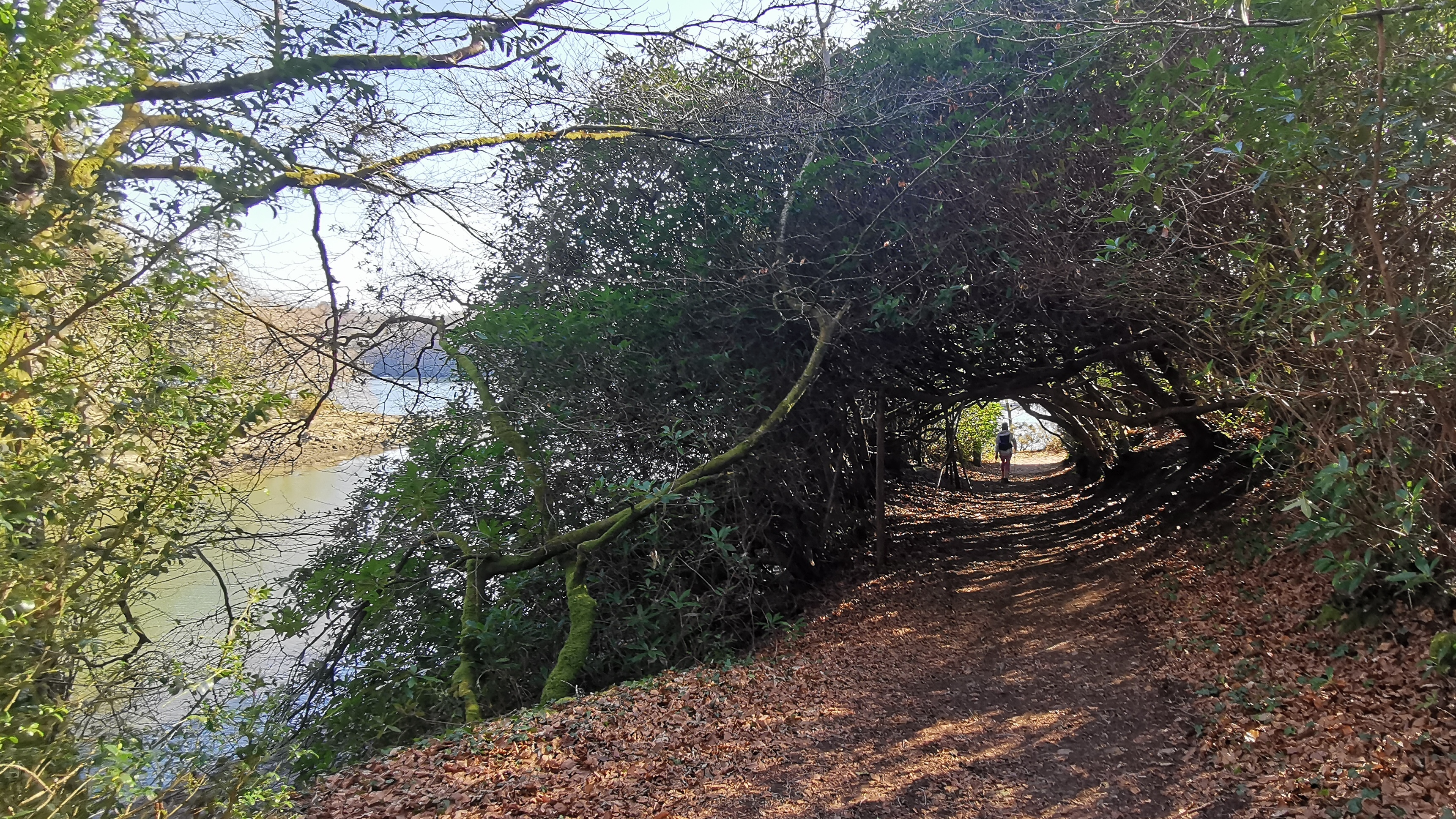 23-IMG_20210320_104657