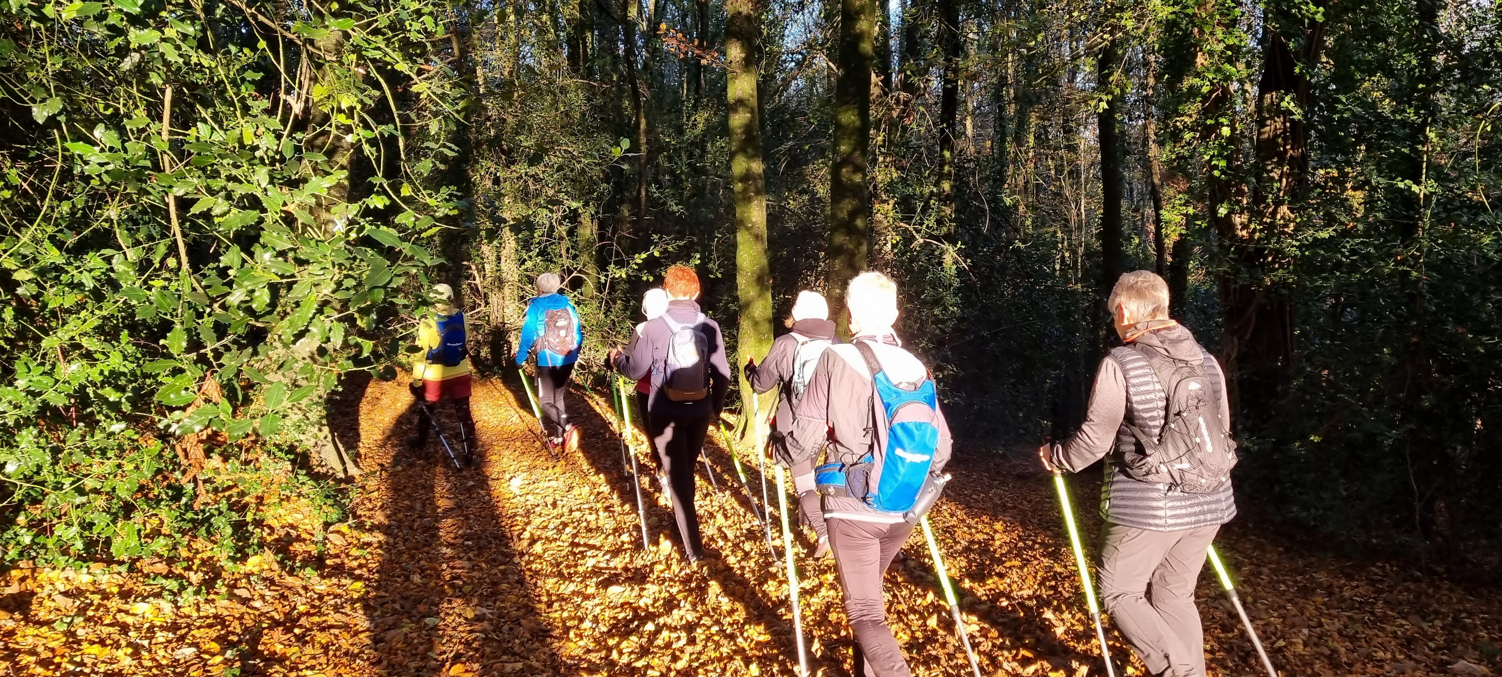 18-20211123_094646(0)